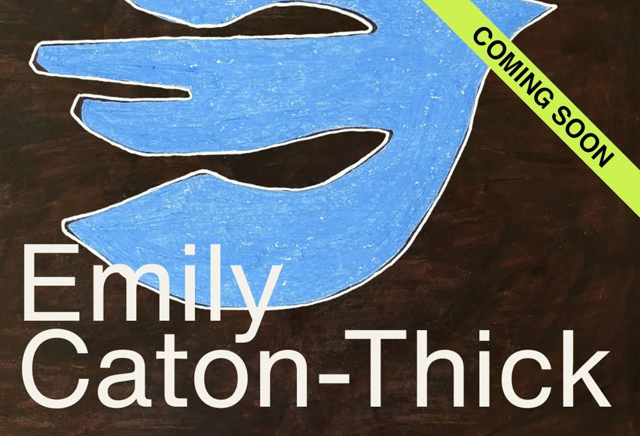 BIRDS - Exhibition by artist Emily Caton-Thick. 26 &amp; 27 Sep 2026
