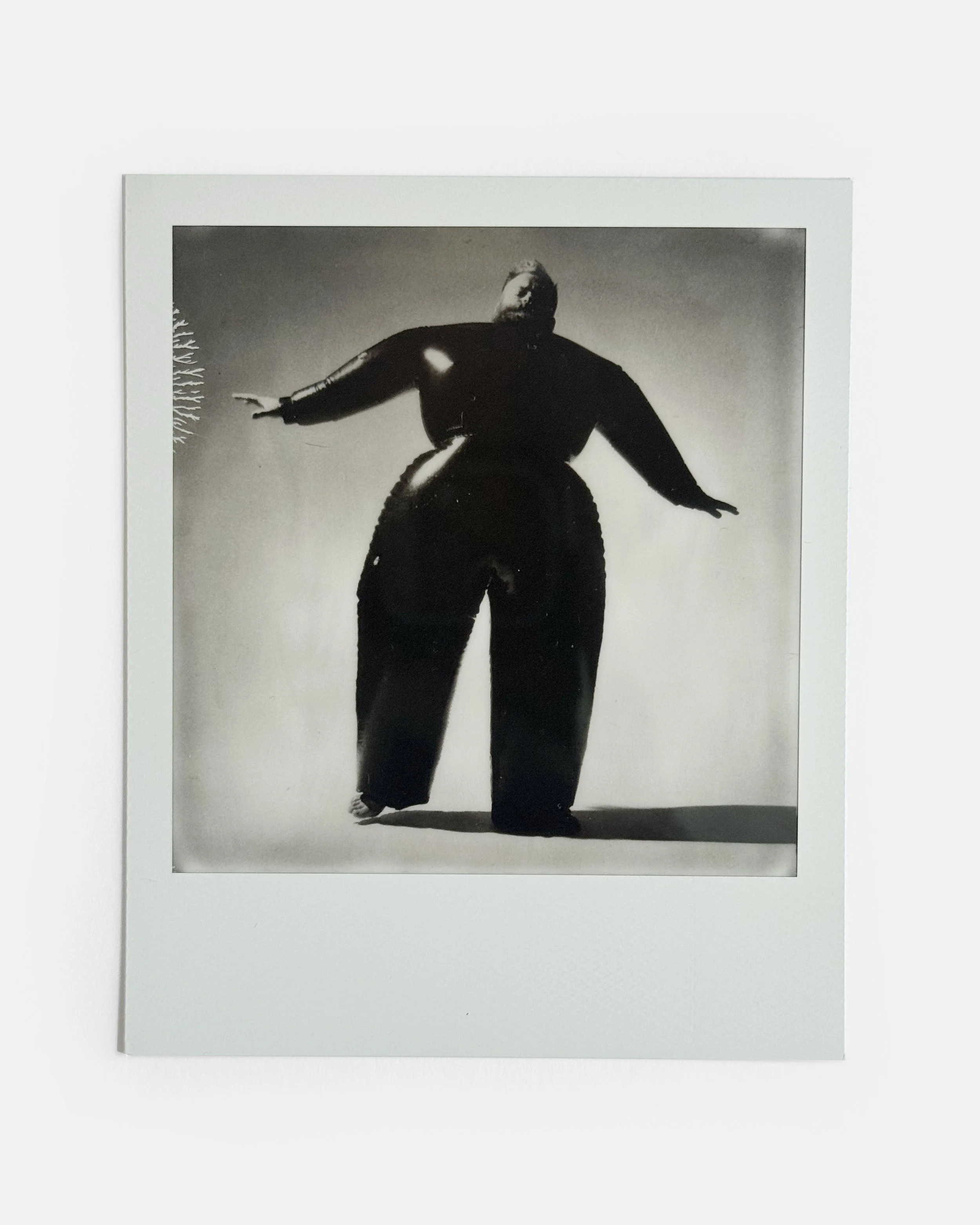 Inflateacub limited edtion polaroid by Matt ford studio.jpg