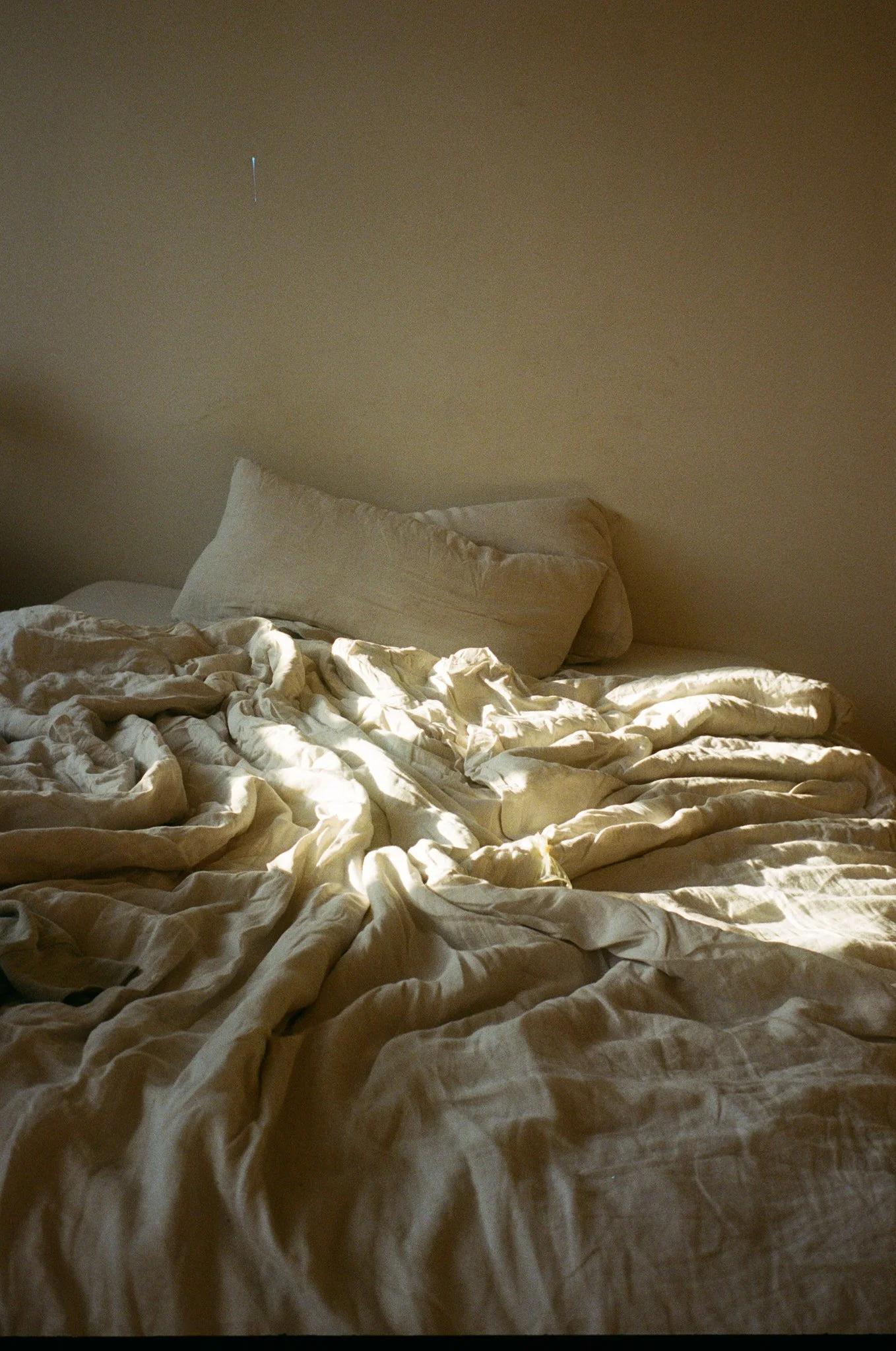 THE  BERLIN Camelion 2.jpg