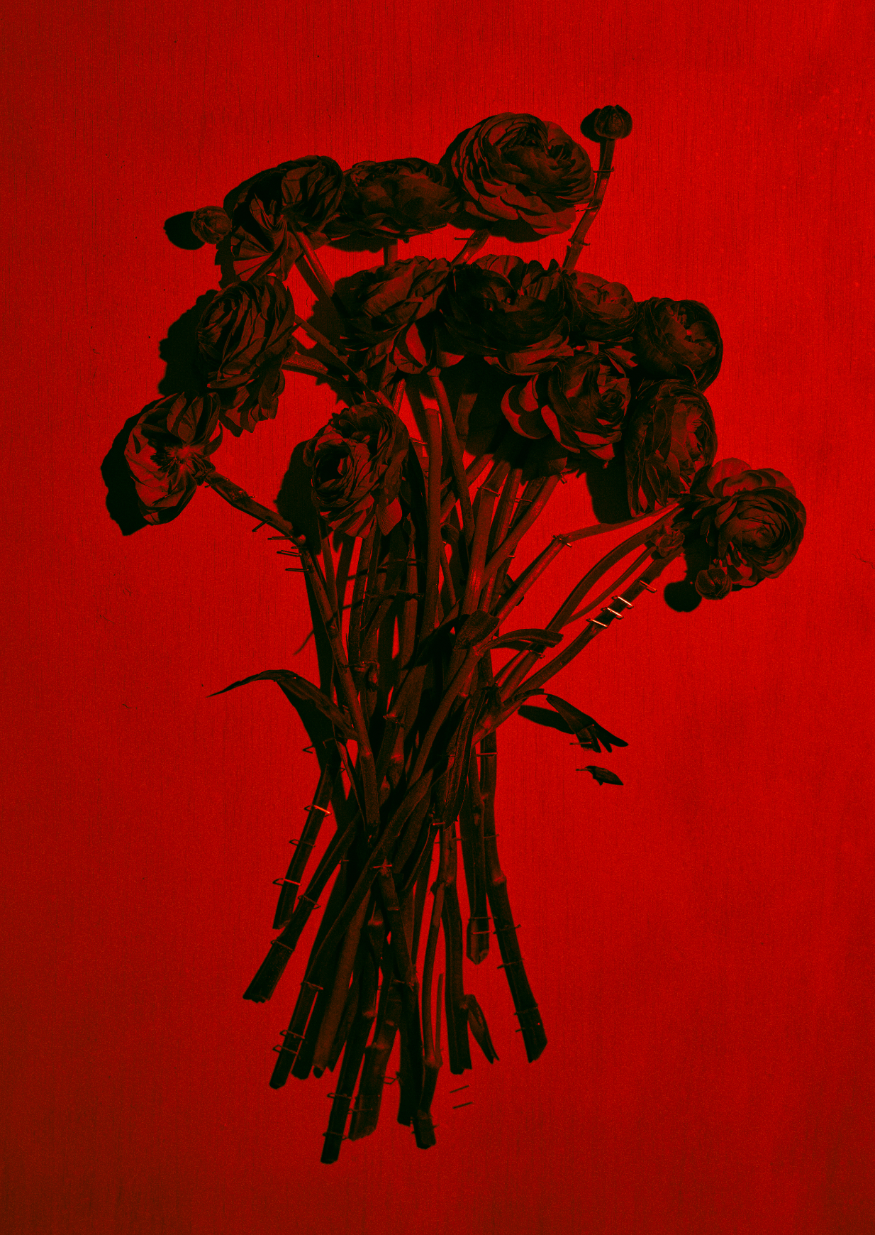 Screenshot 2026-05-22 at 18.00.50.png