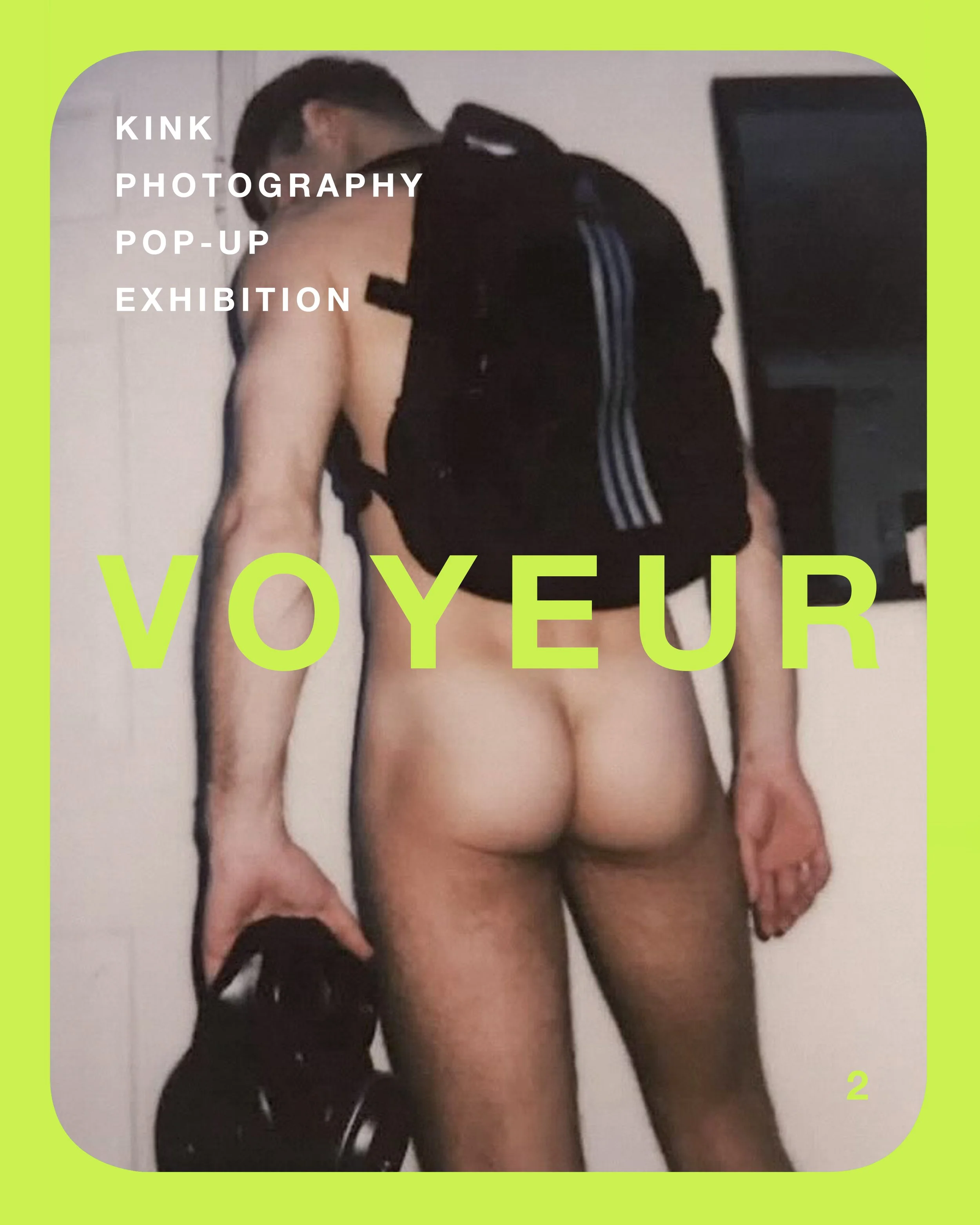 01 VOYUER VOL 2 Matt skully copy.jpg