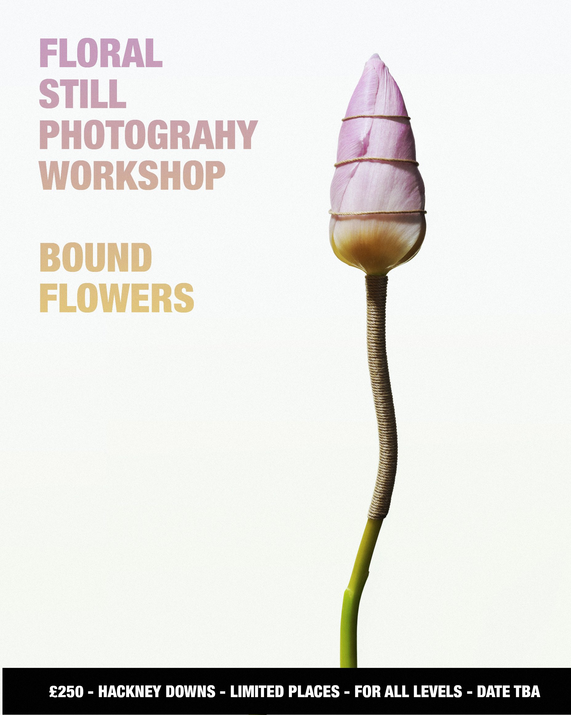 BOUND FLOWERS TULIP copy.jpg