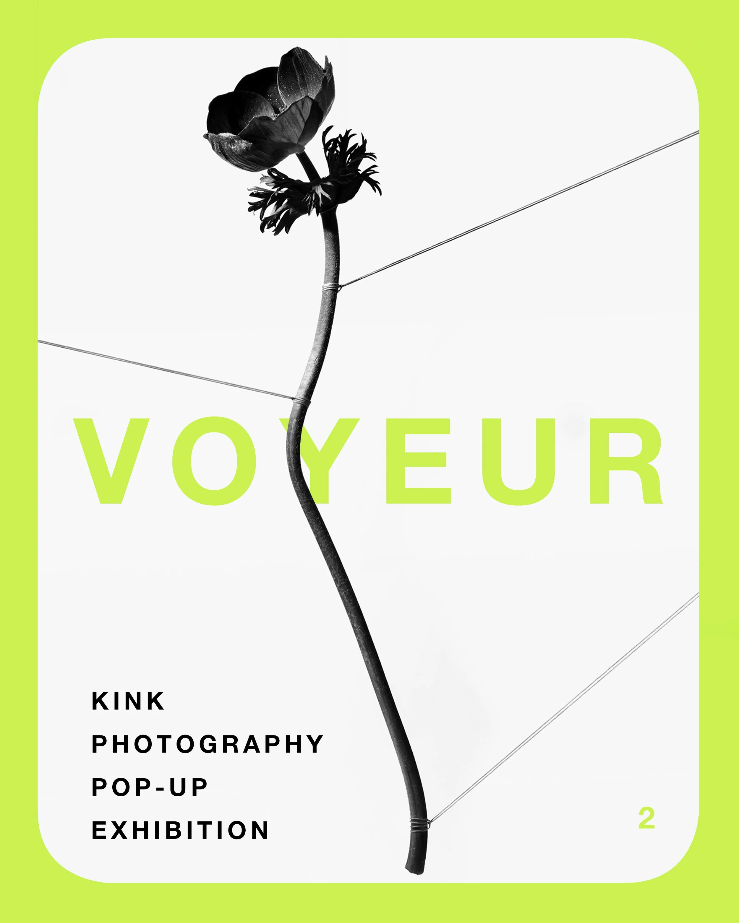 VOYEUR2. December 2025. Group exhibition curated my Matt Ford. 