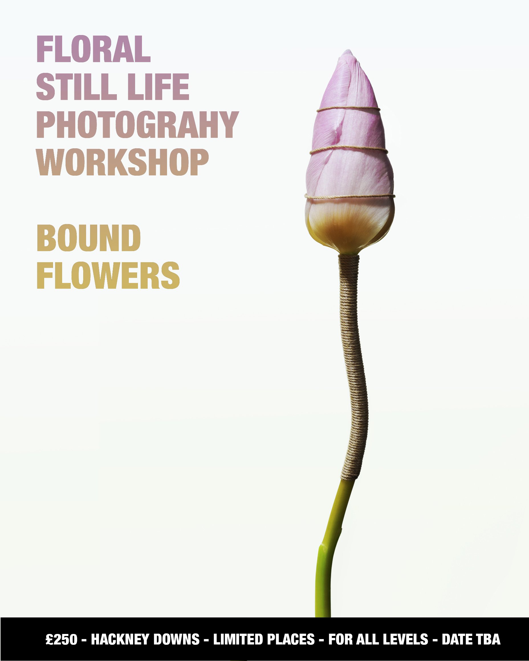 BOUND FLOWERS TULIP copy 2.jpg