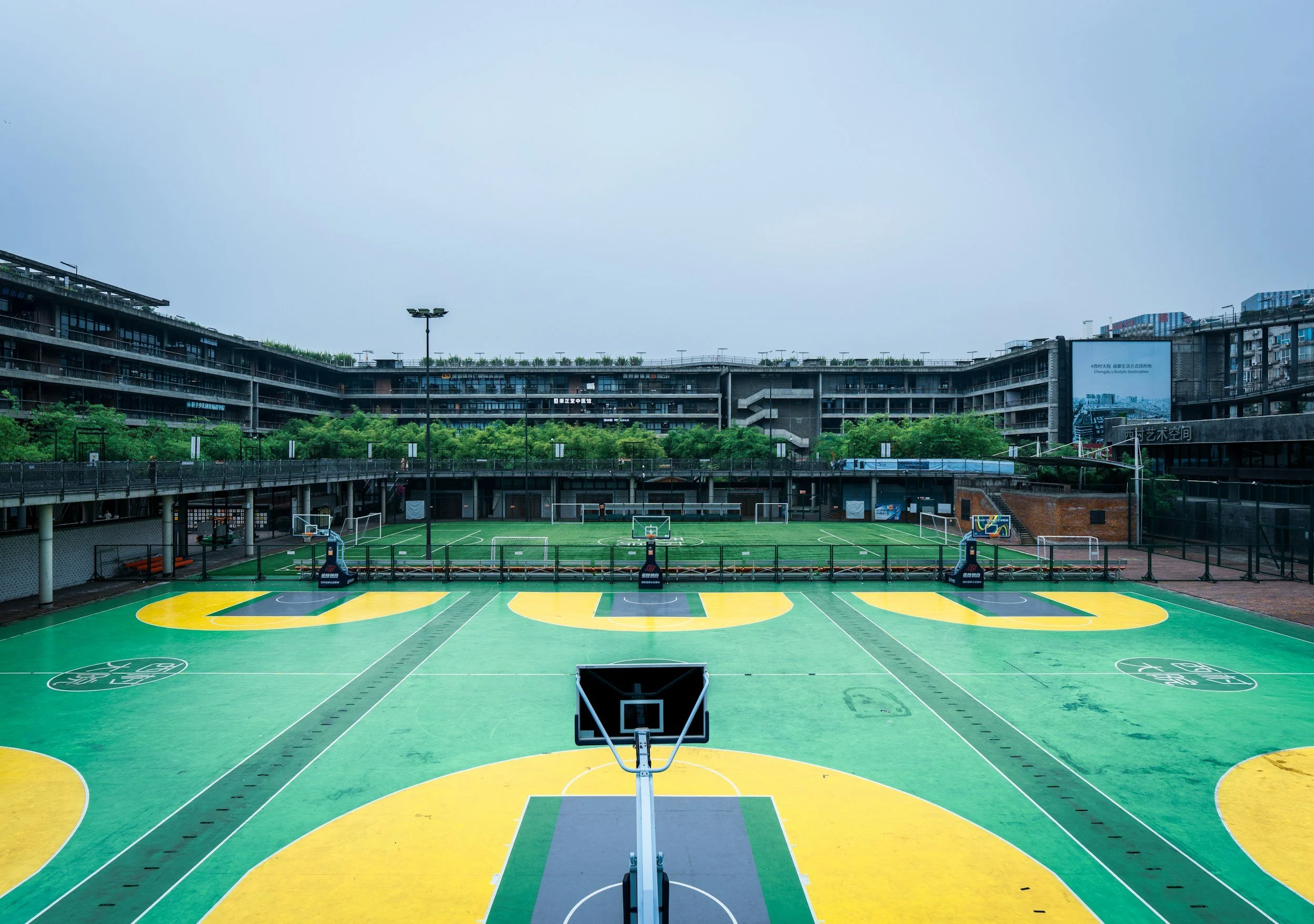 FORMATION BPPES Multi-mentions Jiujitsu Brésilien, MMA, Basket-Ball,Judo-jujitsu, Volley-Ball,