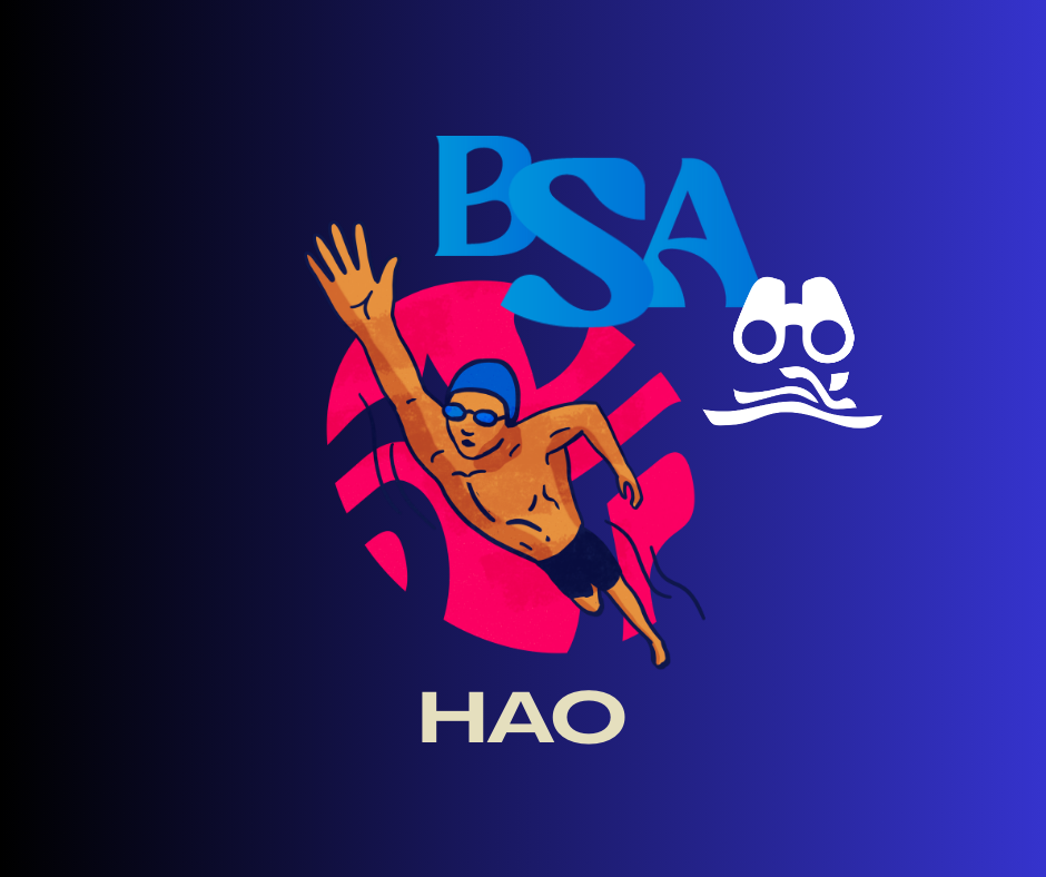 EXAMEN du Brevet de Surveillant aquatique BSA à HAO