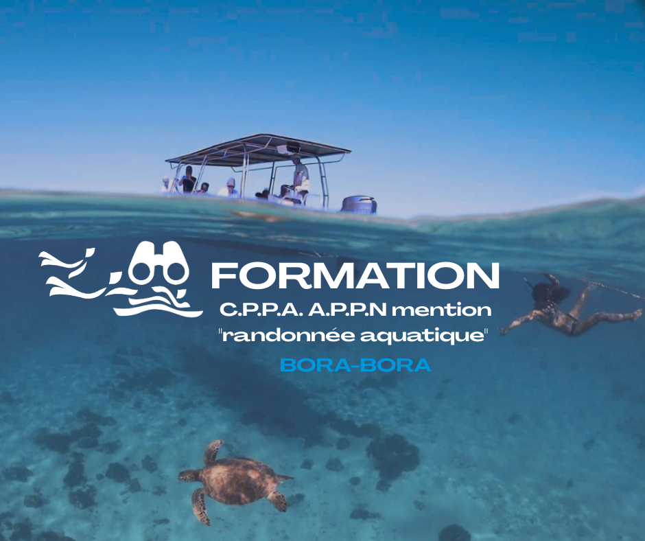 C.P.P.A. A.P.P.N mention "randonnée aquatique" à BORA-BORA 