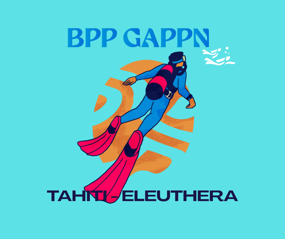 BPP GAPPN plongée subaquatique