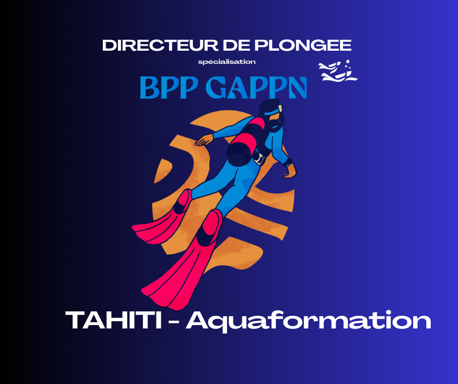 Certificat de spécialisation « Directeur de plongée » du BPP GAPPN plongée subaquatique