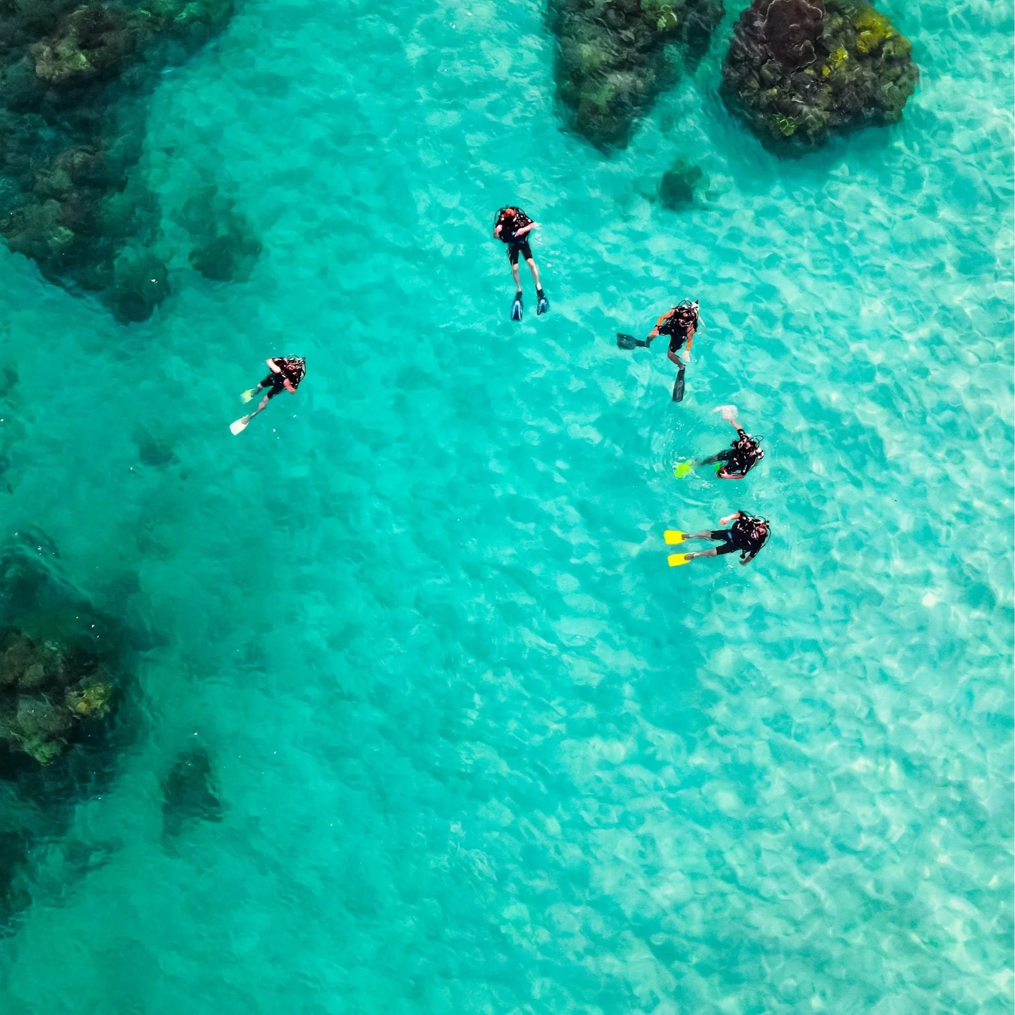 Plongée subaquatique en Polynésie française : tout ce qu'il faut savoir en une seule page