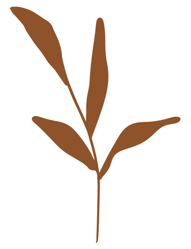 Personal Tax Accountant Airdrie, Alberta