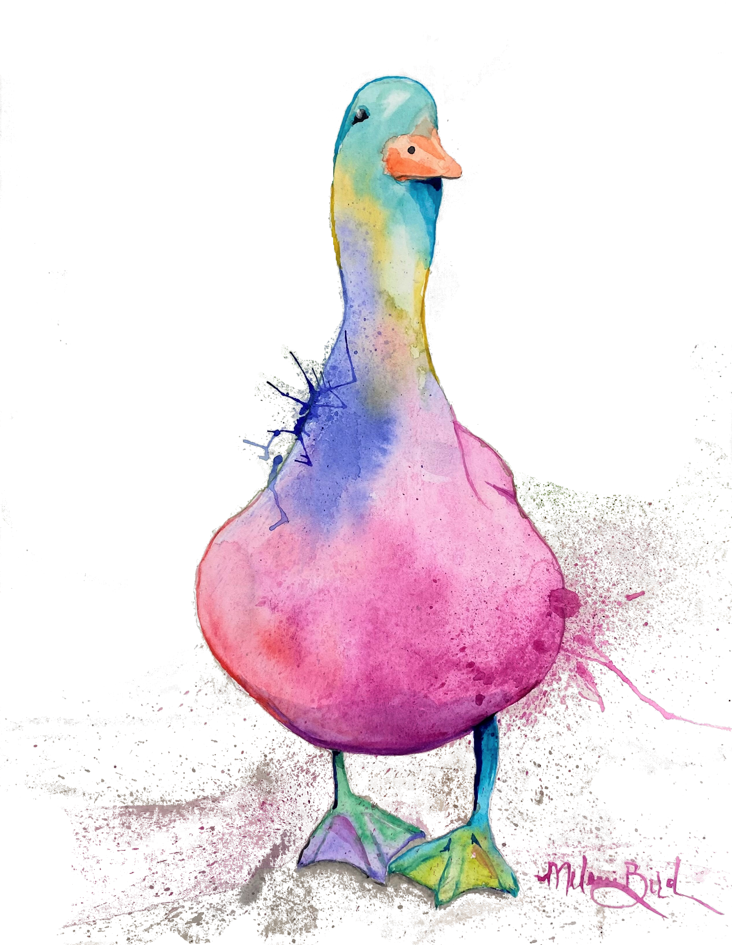 Dutchy the Duck