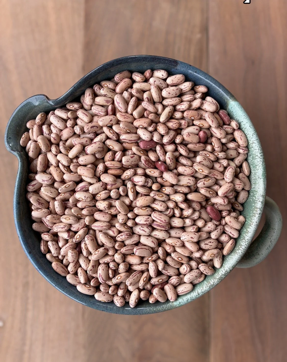 Borlotti del Valdarno.jpg