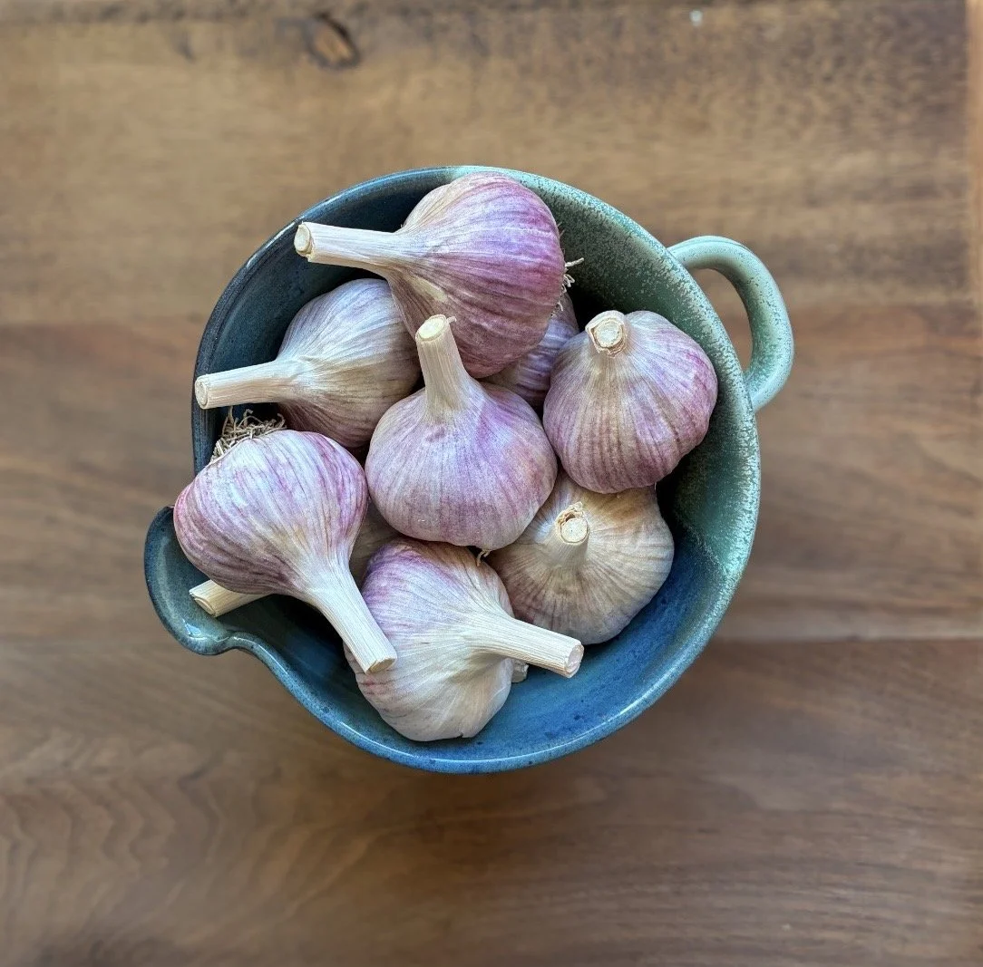 Spanish Roja garlic.jpg