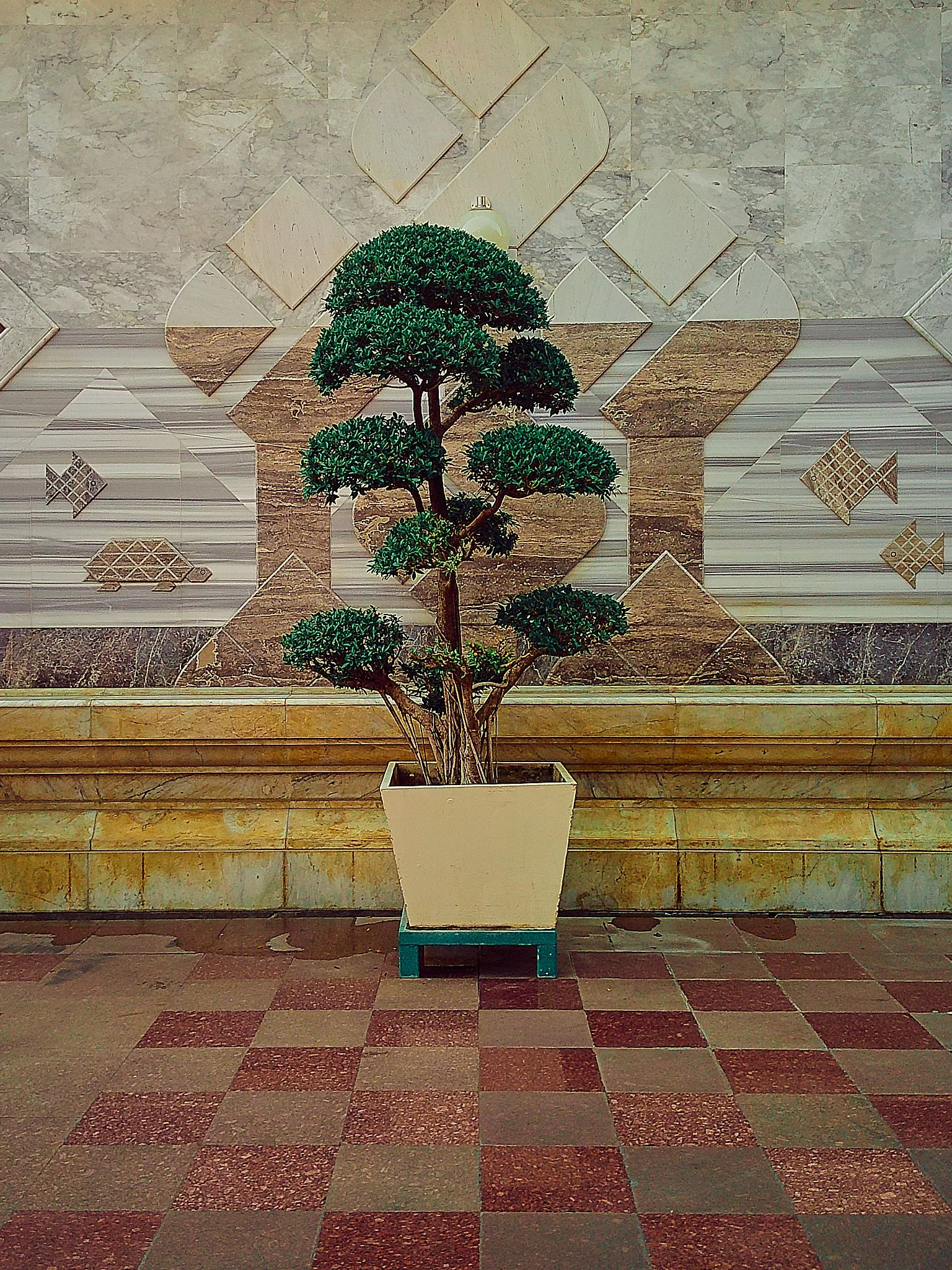 DSCF0084.jpg