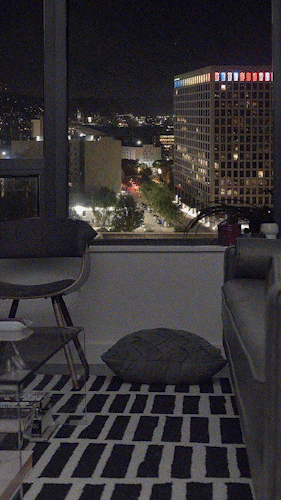 WINDOW.gif
