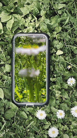 FLOWERS.gif