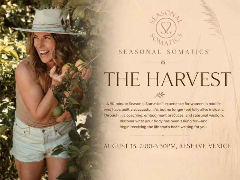 The Harvest Live in-person