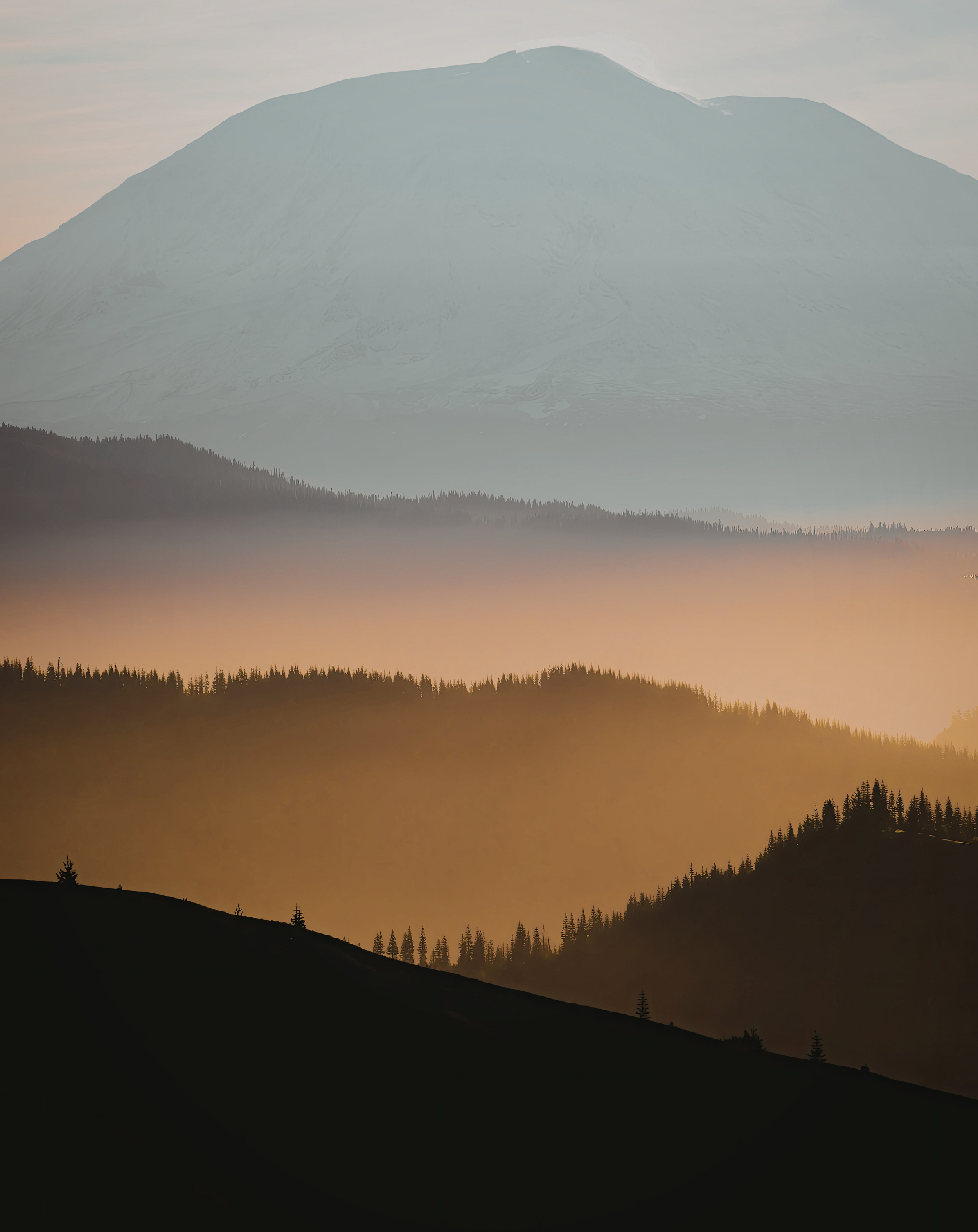 A mountain landscape with a large snow-capped mountain in the background, layers of forested hills in the middle ground, and a dark silhouetted forest in the foreground at sunset or sunrise.