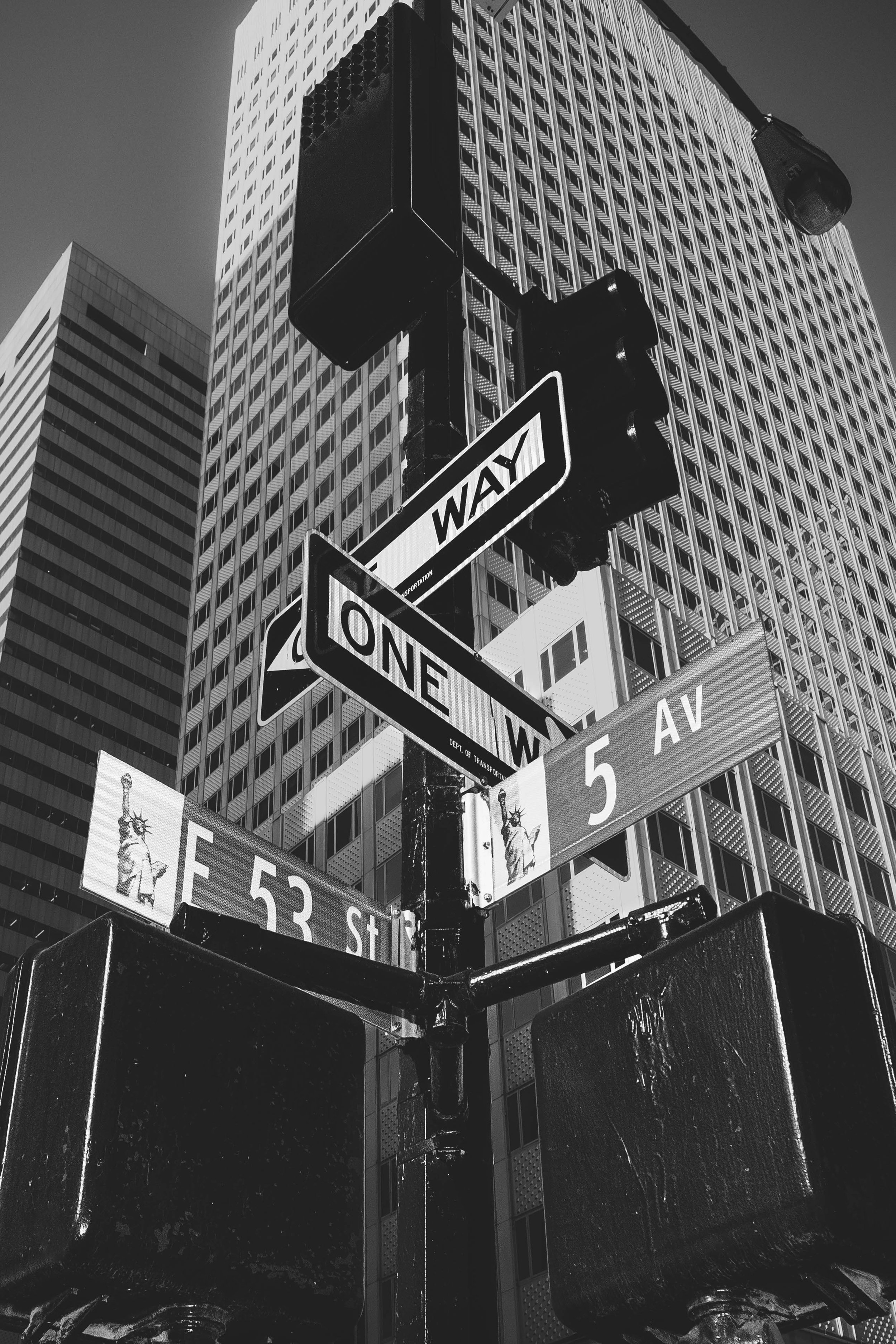 DSC_7049-Edit-Edit-BW-thumbnail.jpg