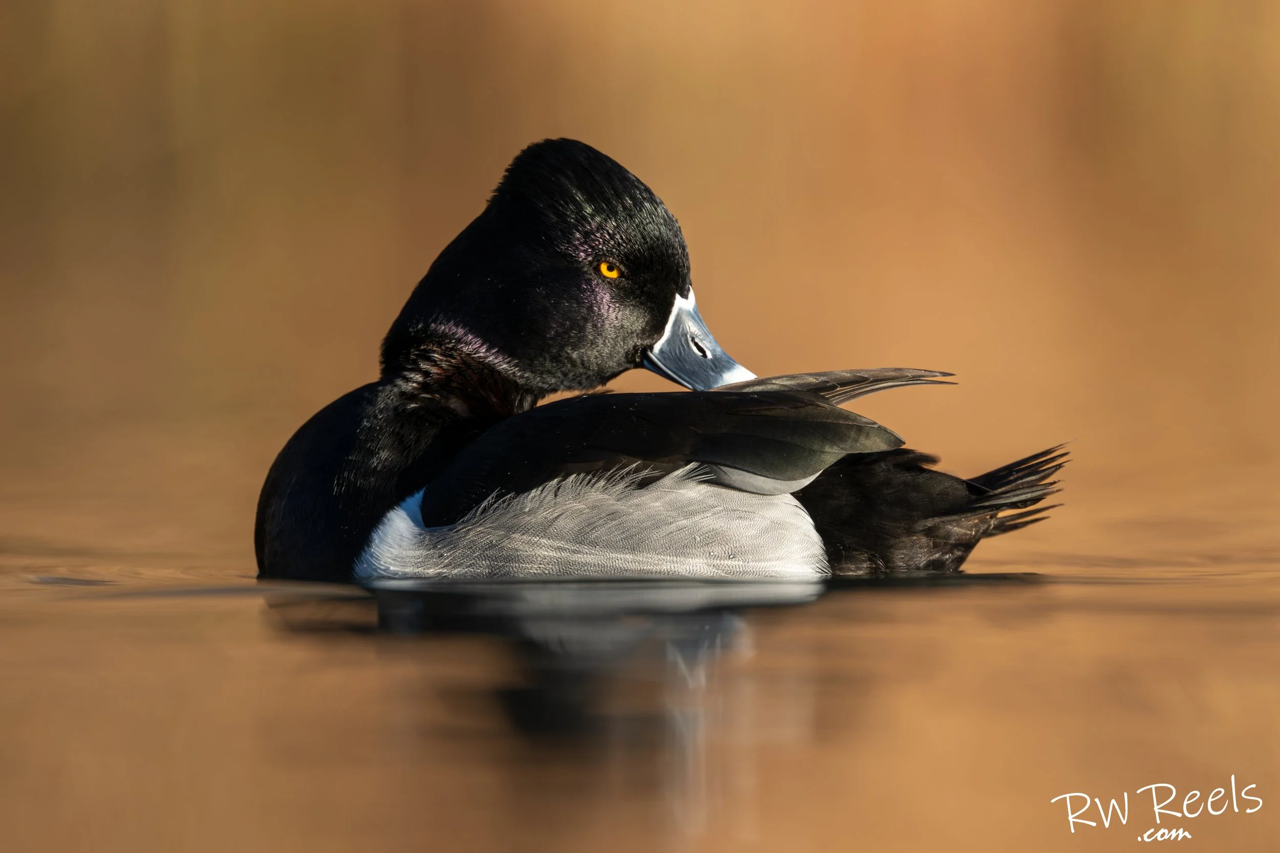 NM Day 2morning_15401-Edit.jpg