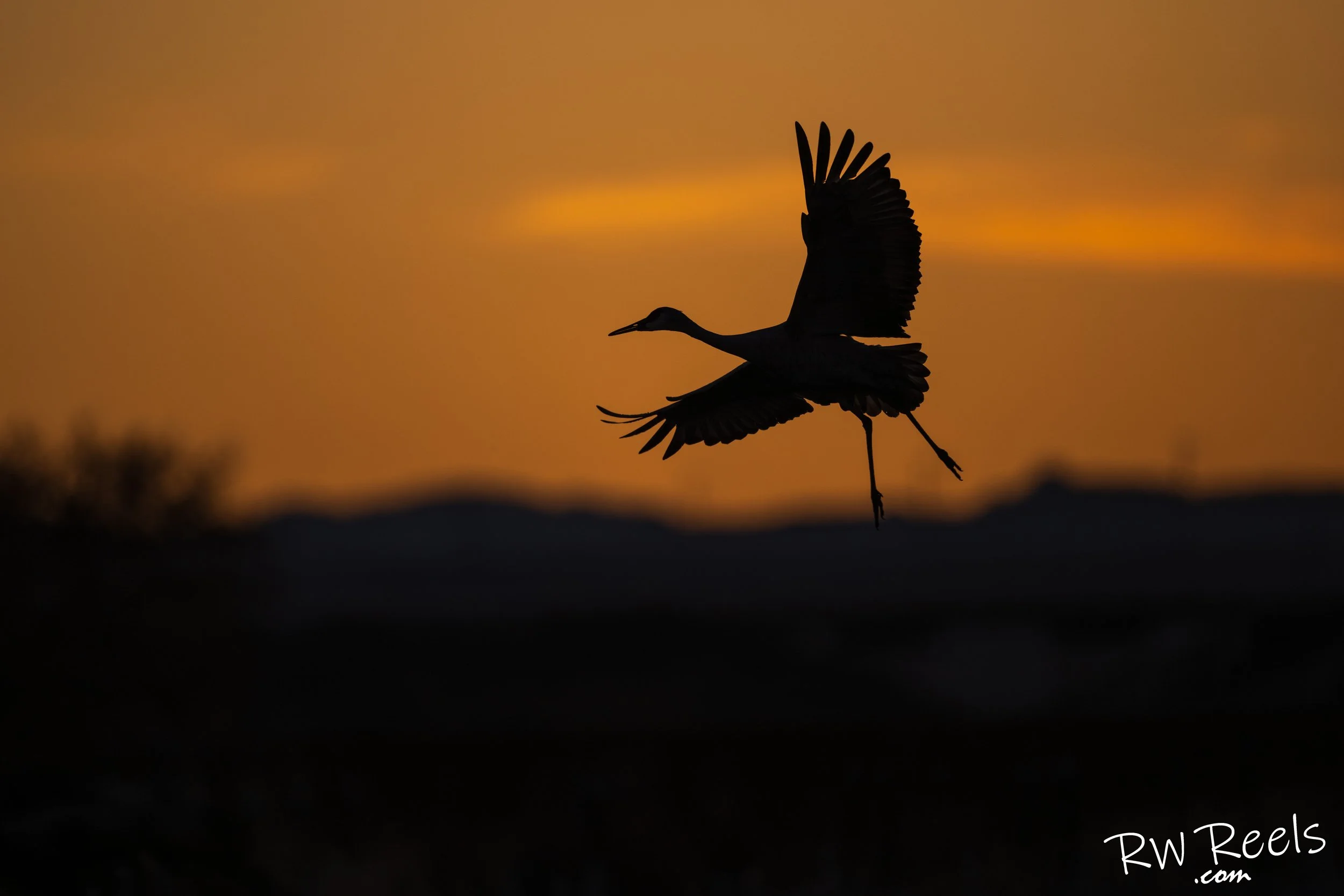 NM Day 2evening_29143-Edit.jpg
