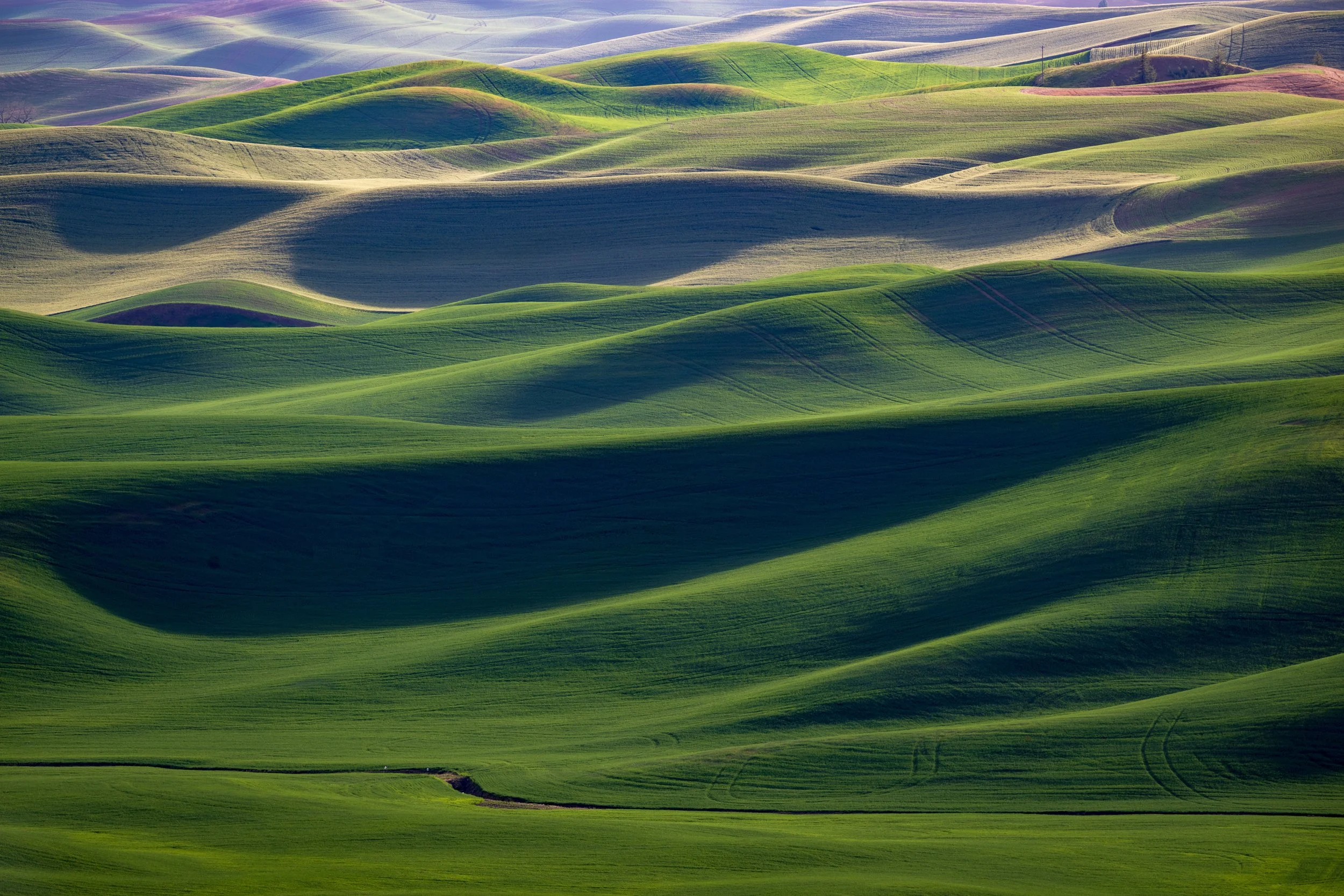 Palouse, Washington