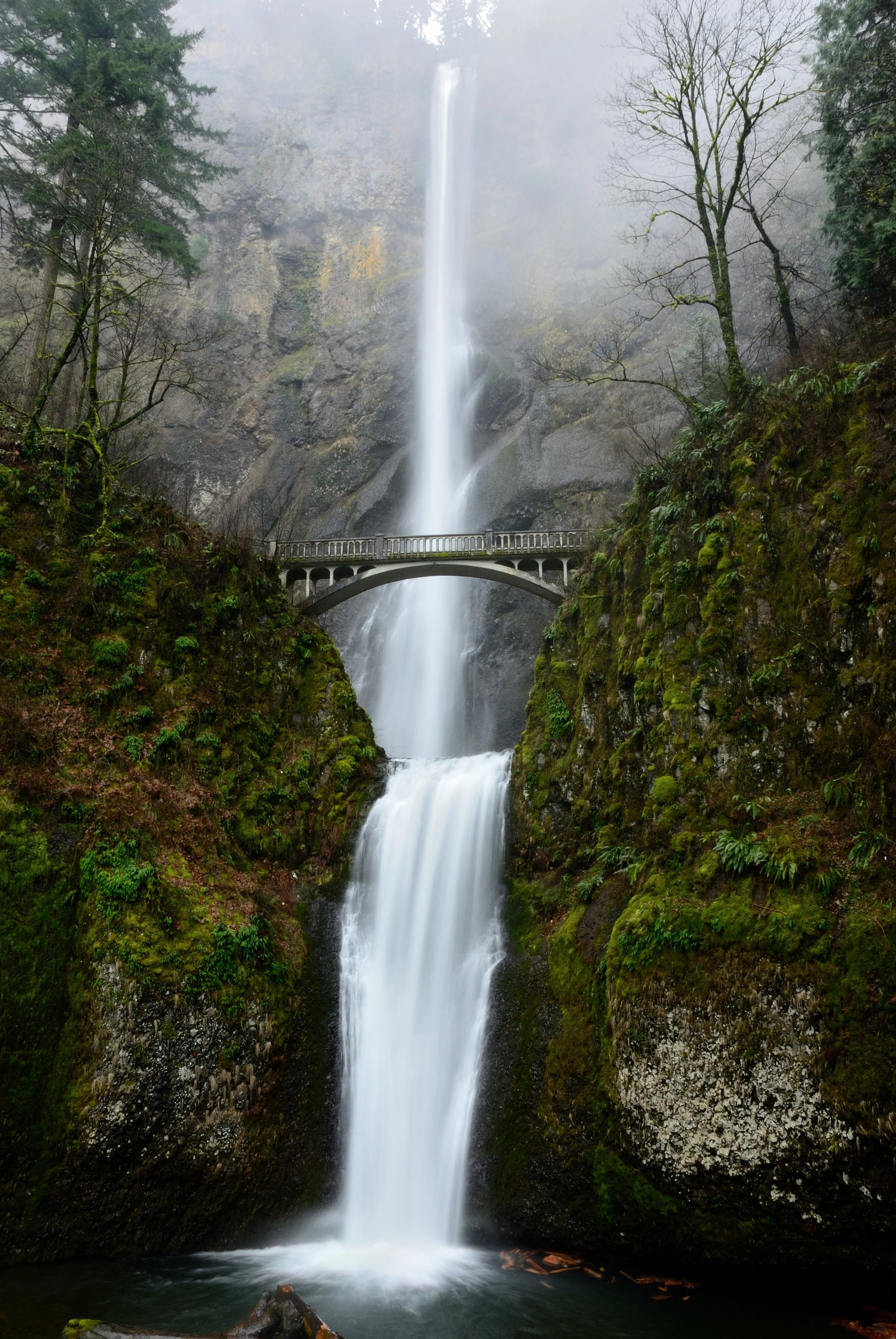 This photo captures the stunning beauty of Multnomah Falls in Oregon. The falls are seen cascading down a two-tiered cliff, surrounded by lush green trees and rocks. The water is captured in motion, with white rapids contrasting against the darker ro