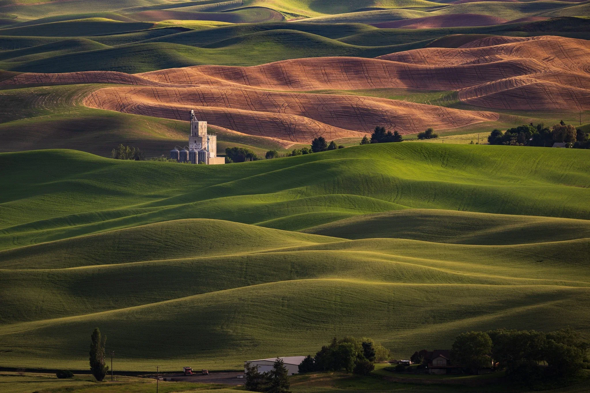 Folds of the Palouse — Steptoe Butte Fine Art Print