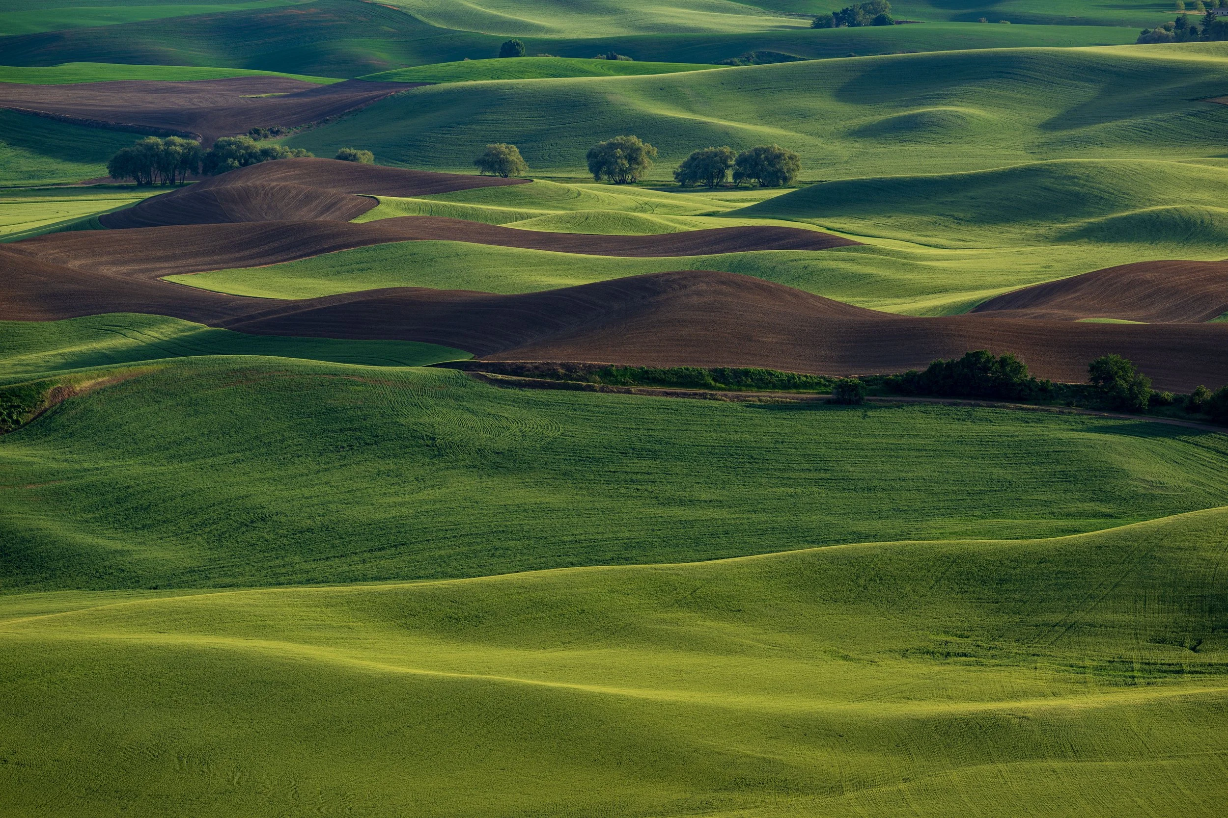 Palouse, Washington