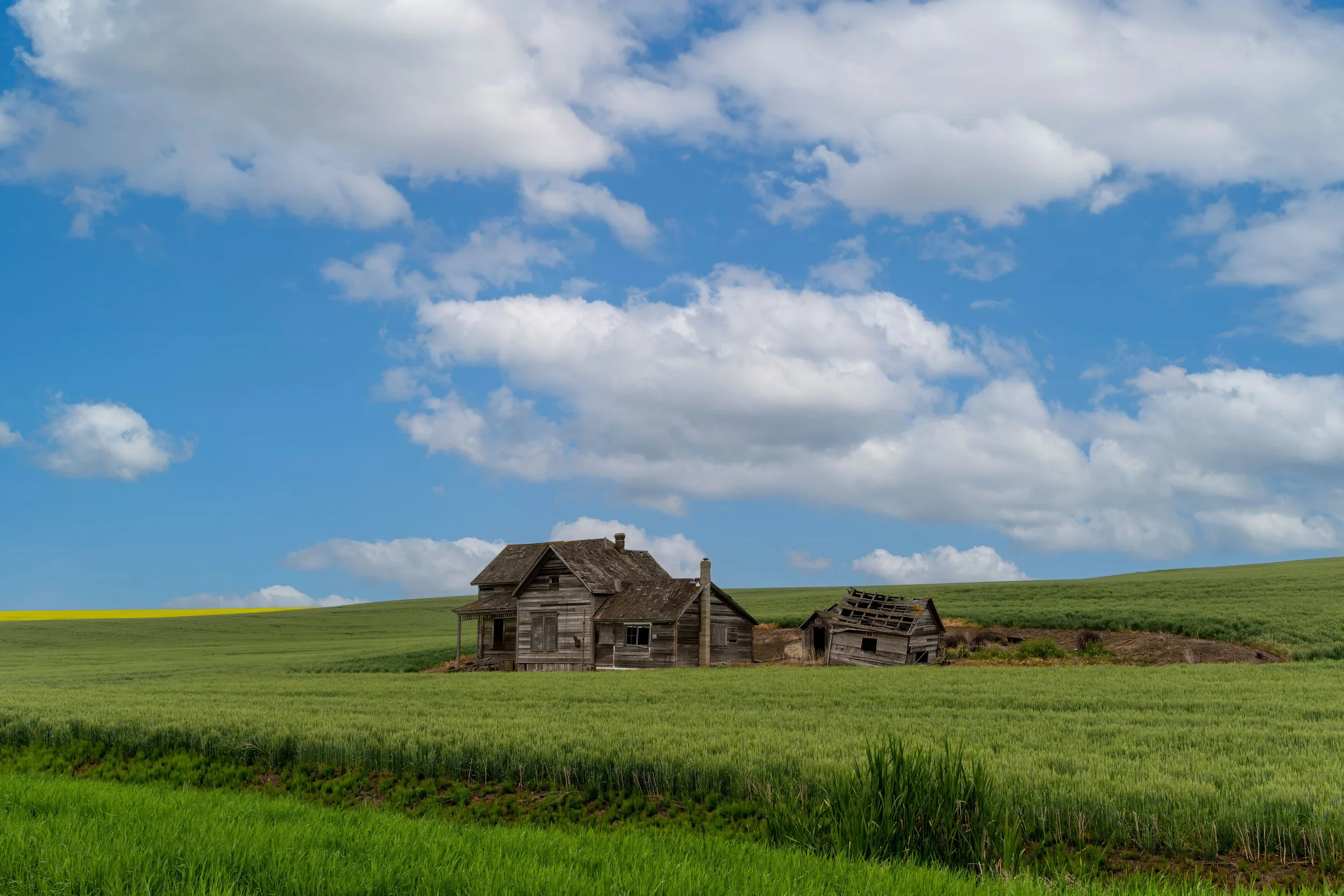 Palouse, Washington
