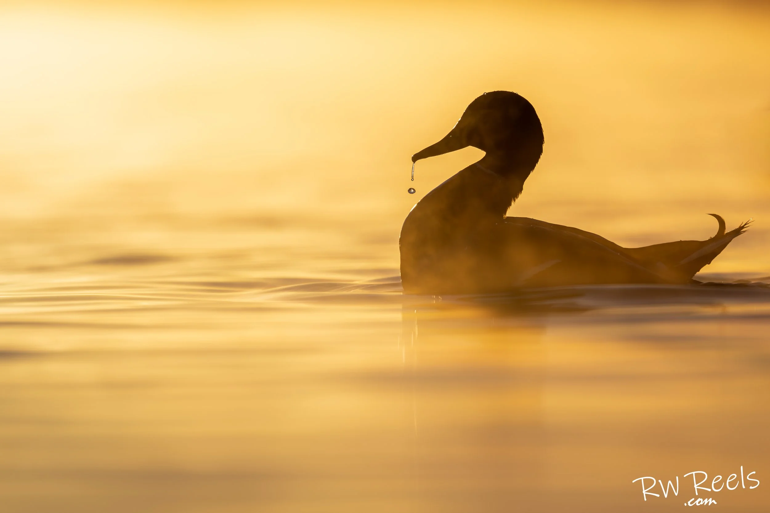 NM Day 2morning_9347-Edit.jpg