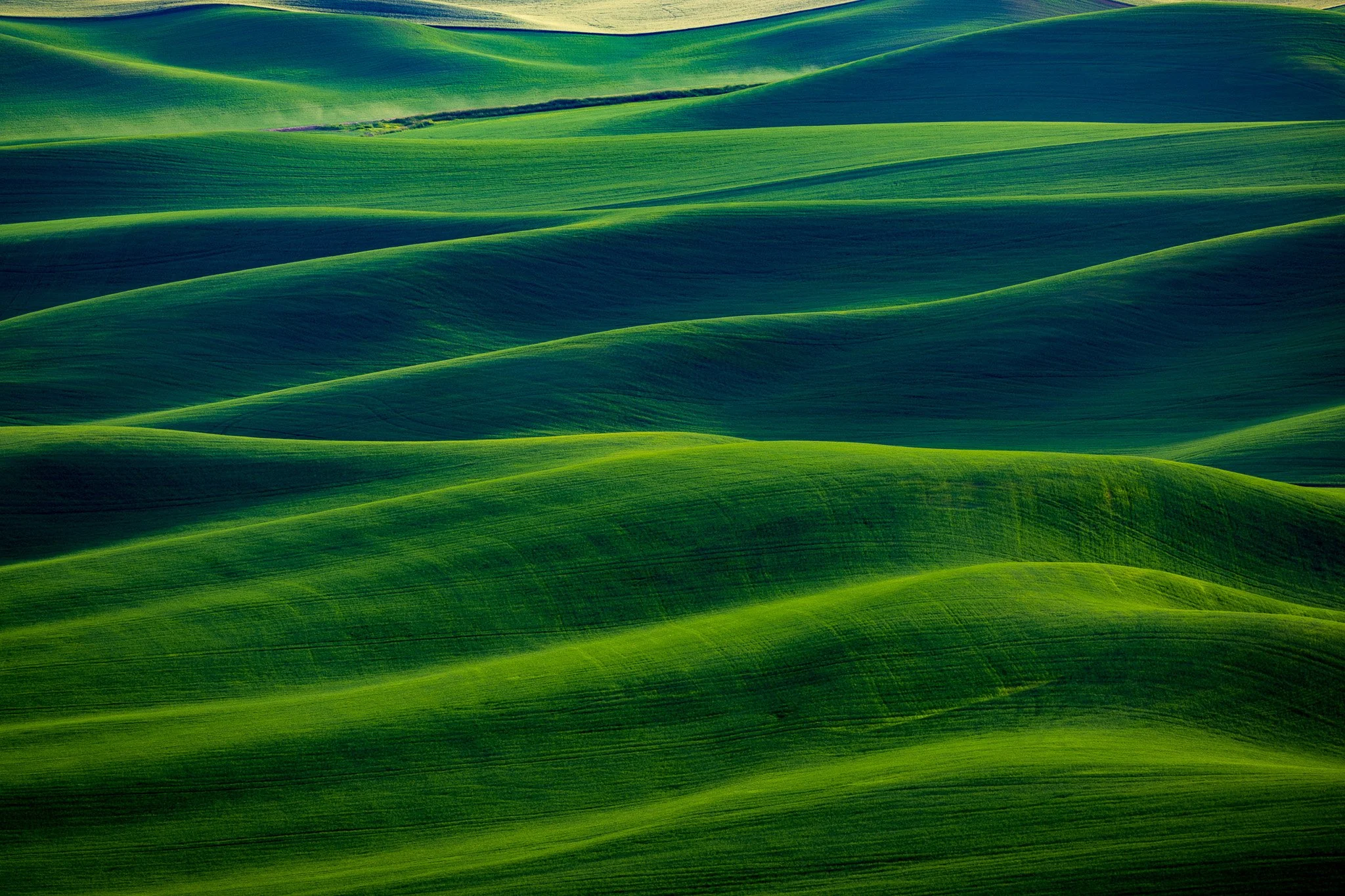 Rolling hills of Palouse, Washington.