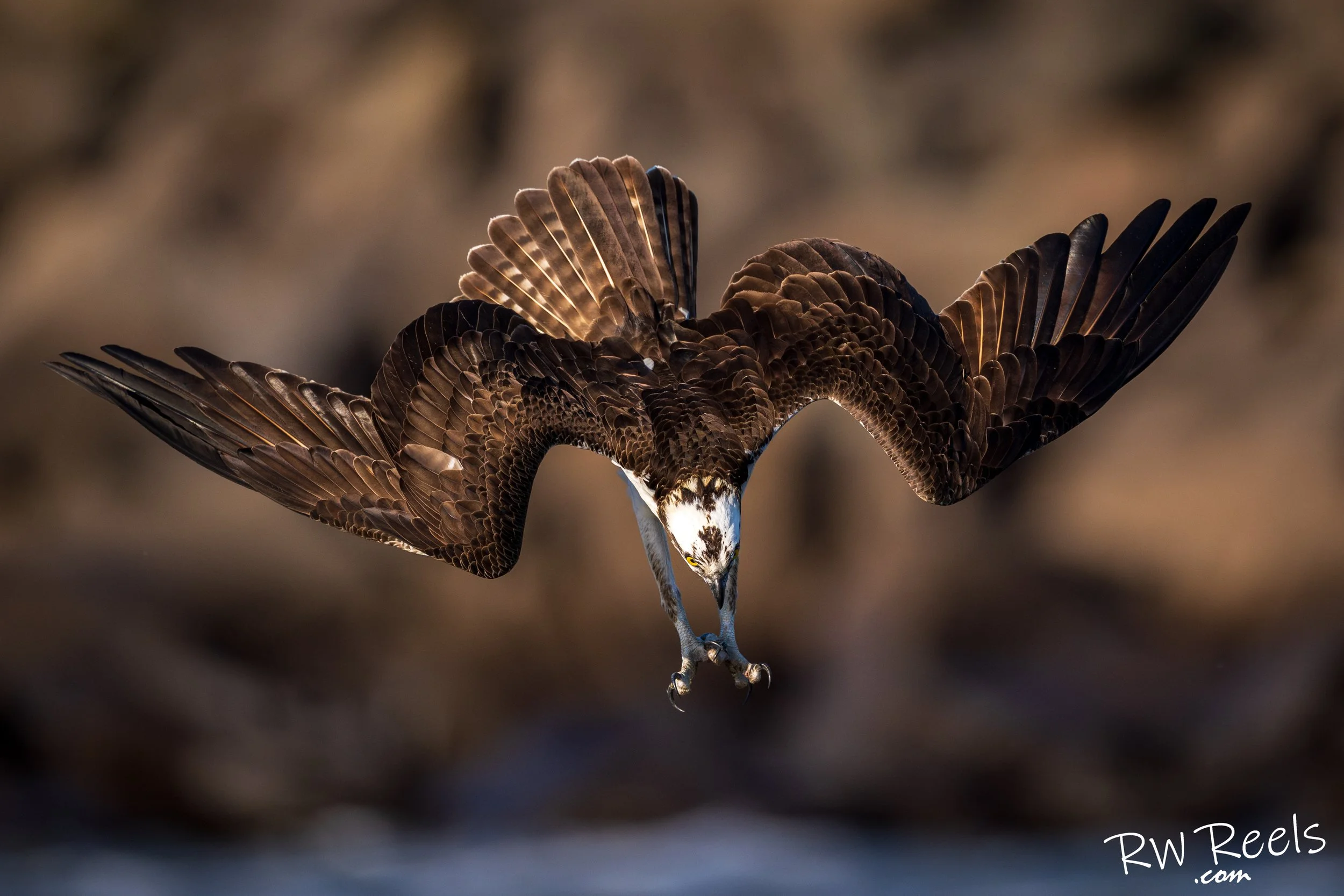 jordanlak3.20.26_350471-Edit.jpg