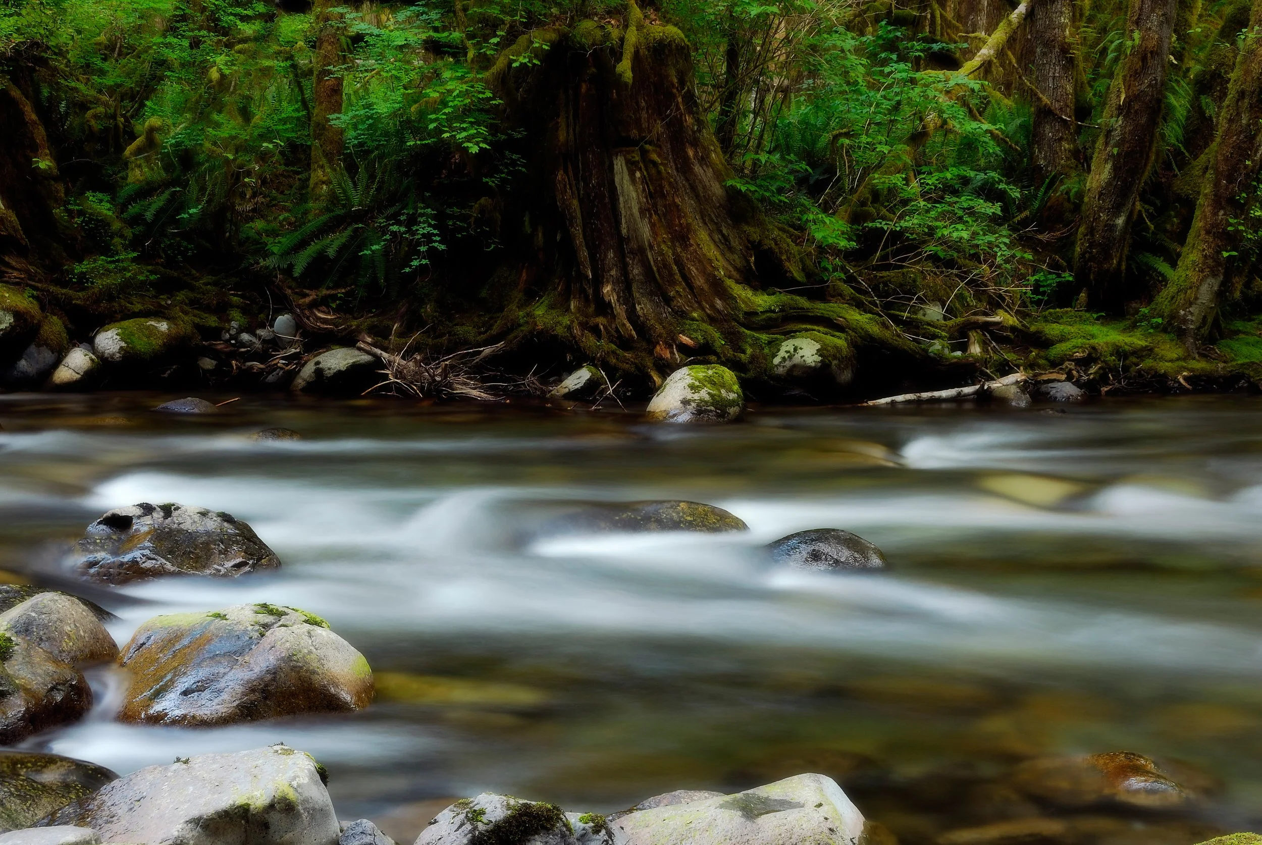 Wallace River near Gold Bar, Washington.