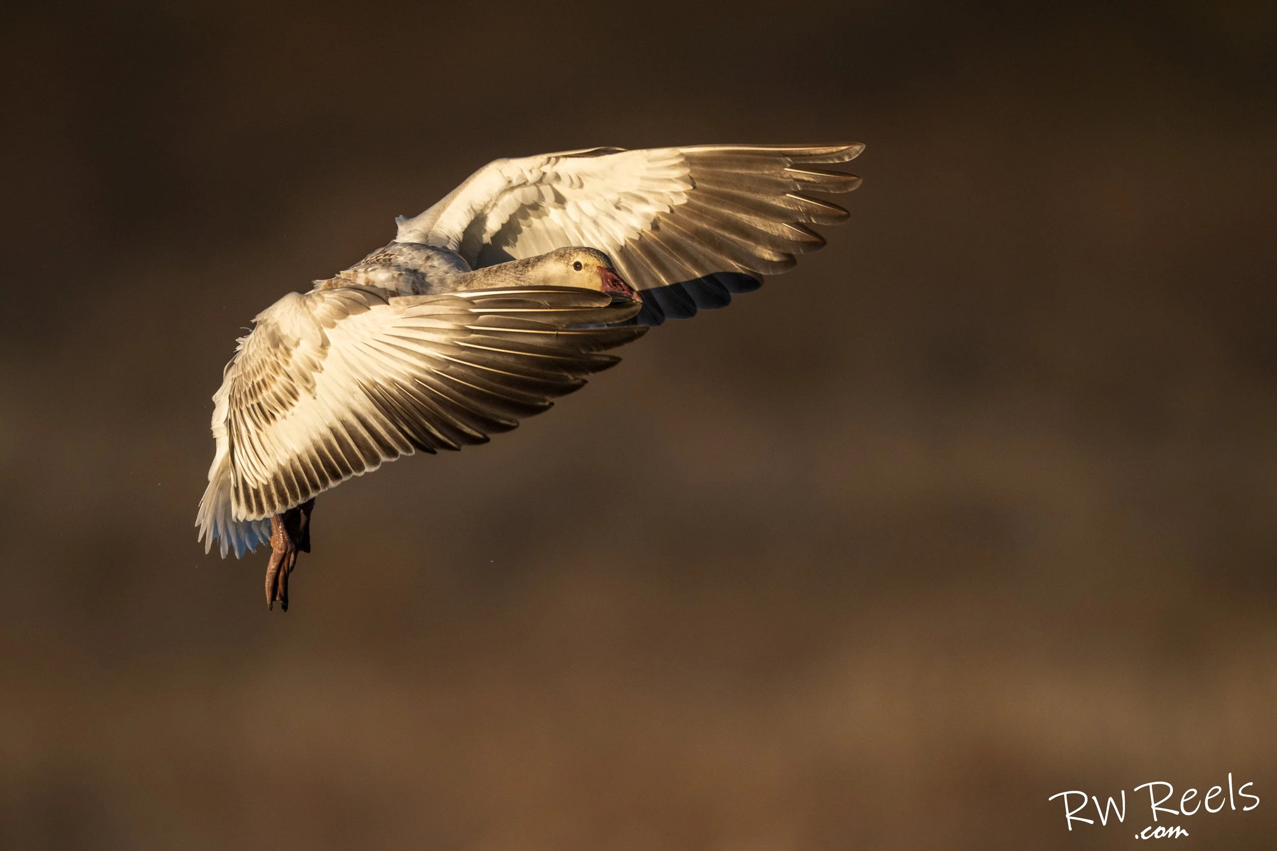 NM Day 5 Morning_66040-Edit.jpg