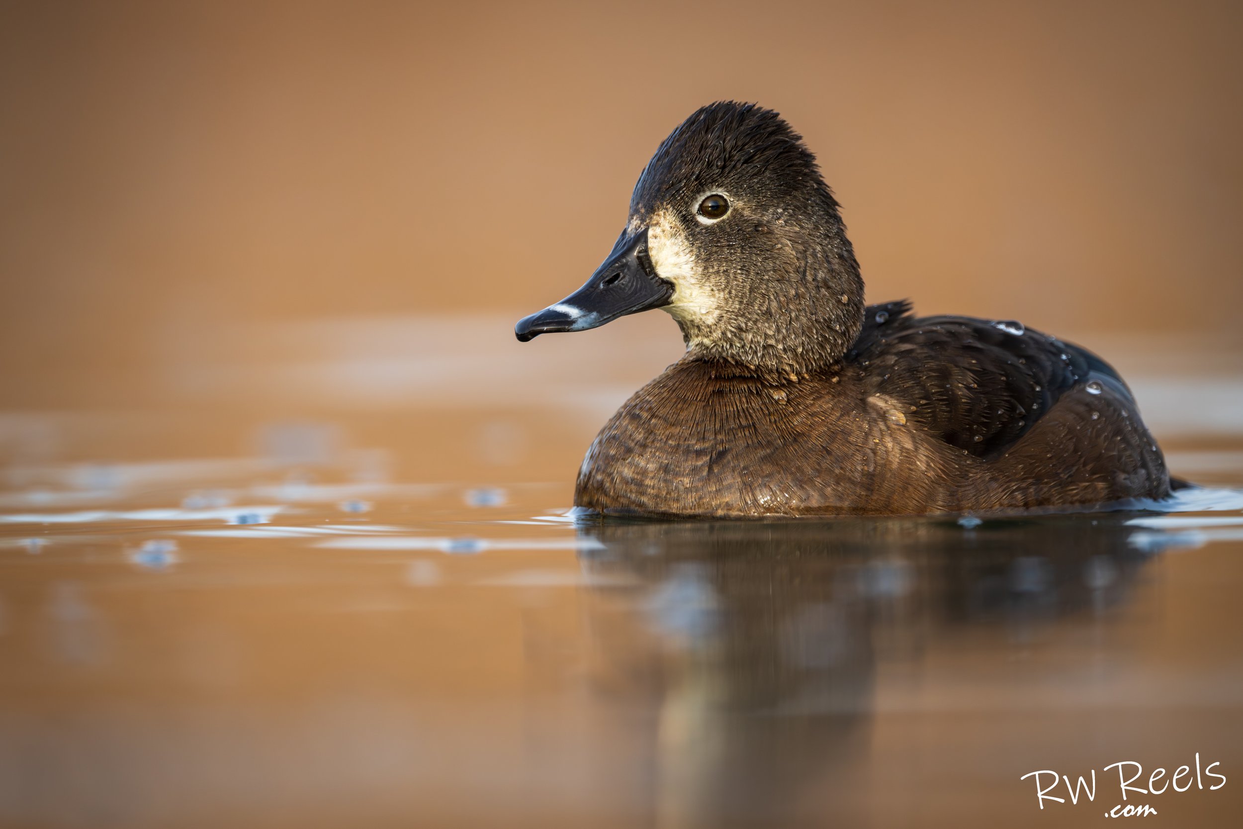 NM Day 3 morning_36576-Edit.jpg