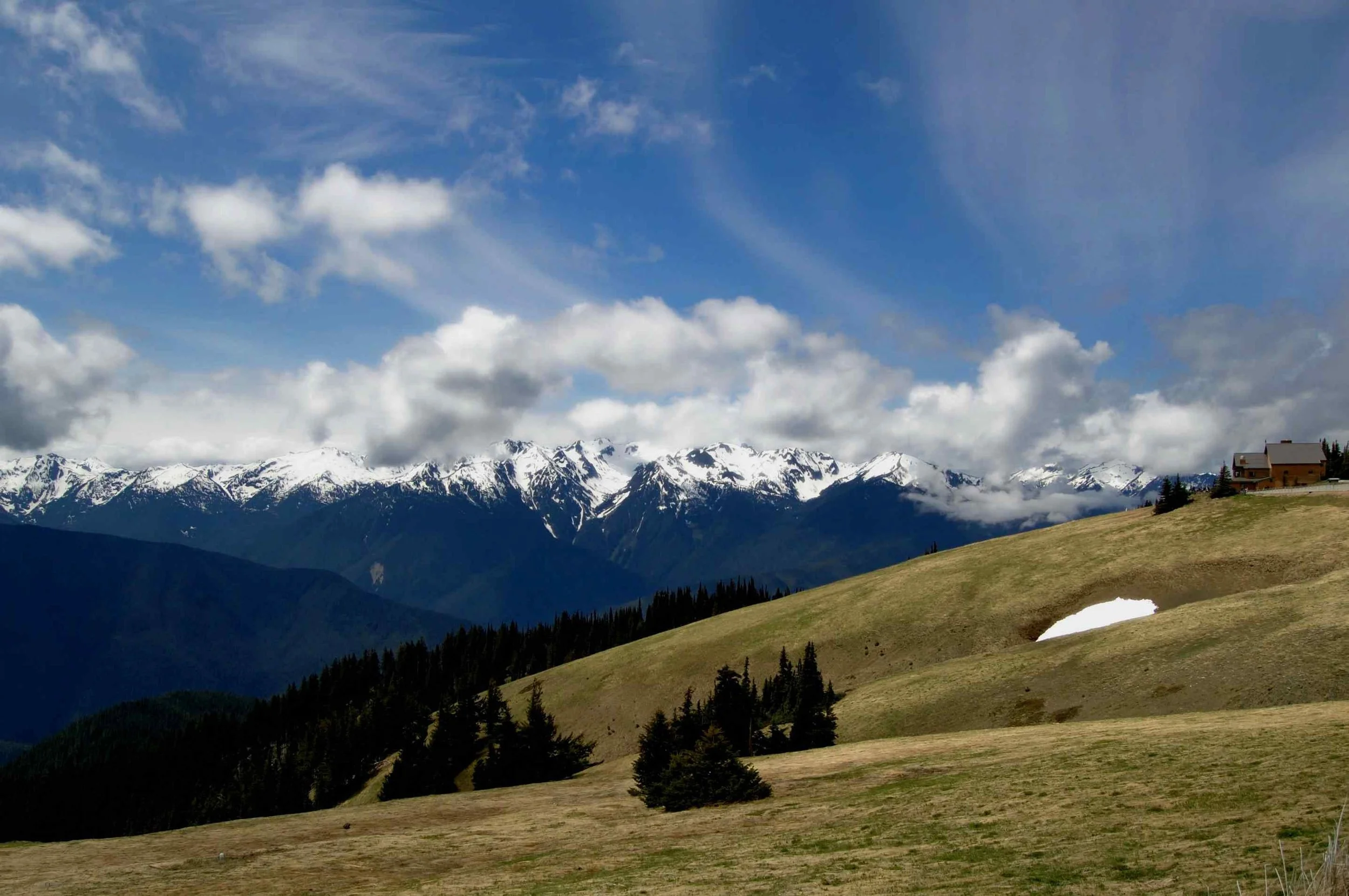 This photo captures the stunning natural beauty of Hurricane Ridge in the Olympic Mountains. The scene is viewed from a high vantage point, with the rugged mountain peaks and the rolling hills of the surrounding landscape visible in the distance. The