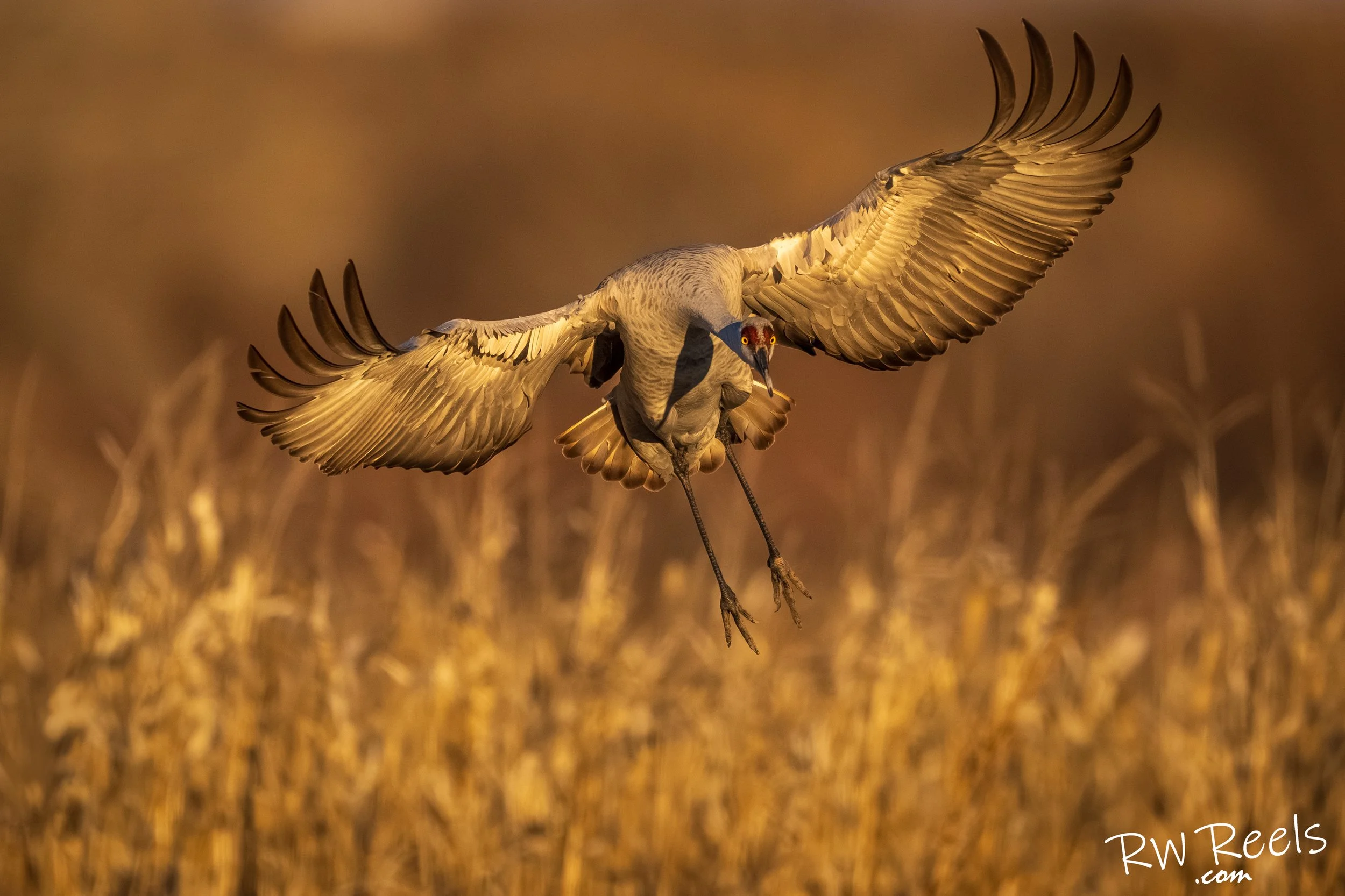 NM Day 2evening_26954-Edit.jpg