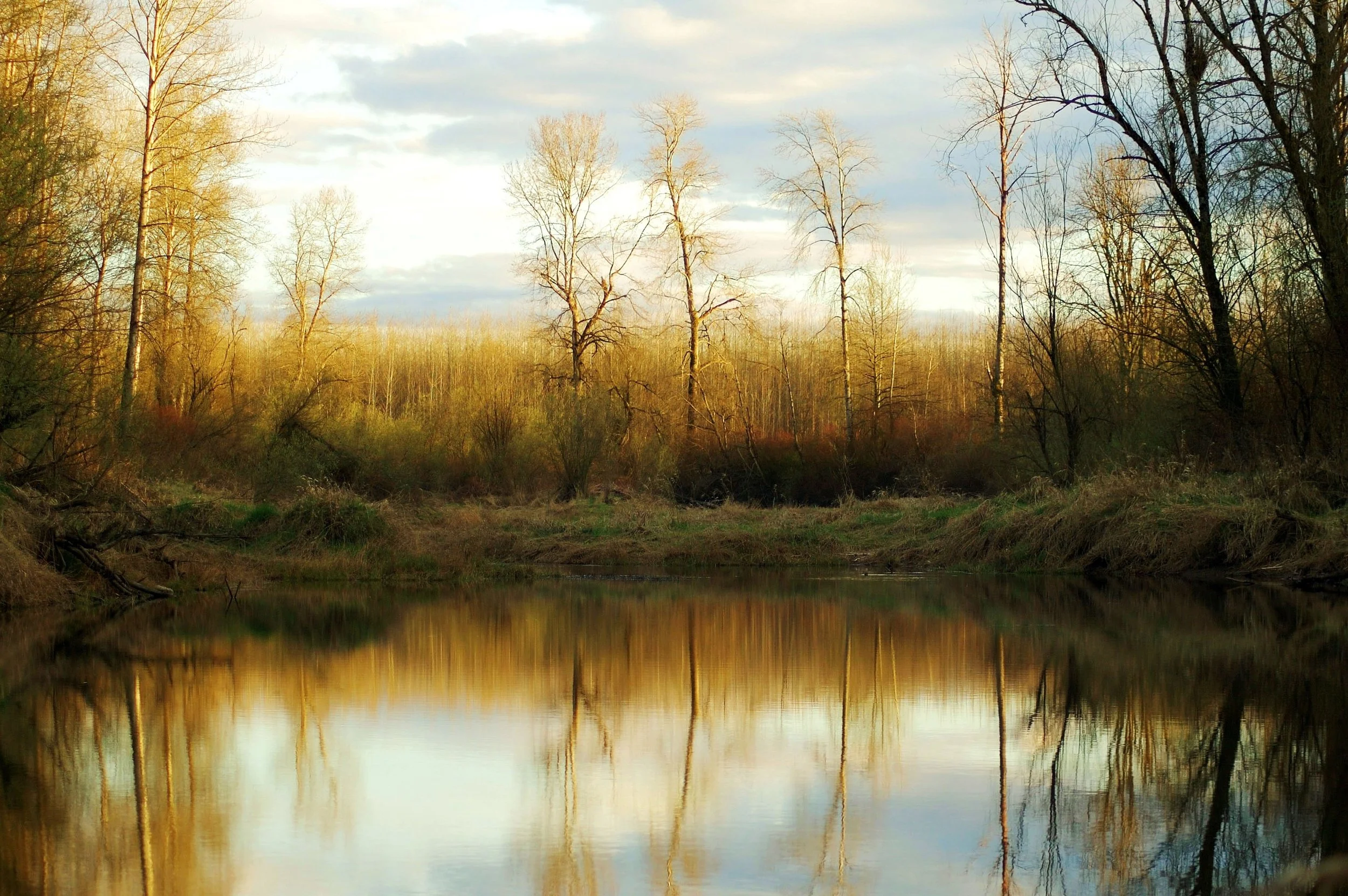 This photo captures a moment that is truly a treasure for a lifetime. I stumbled upon a pond in the middle of the woods at the precise moment when the light was rapidly changing colors. The resulting image is nothing short of surreal, with the reflec