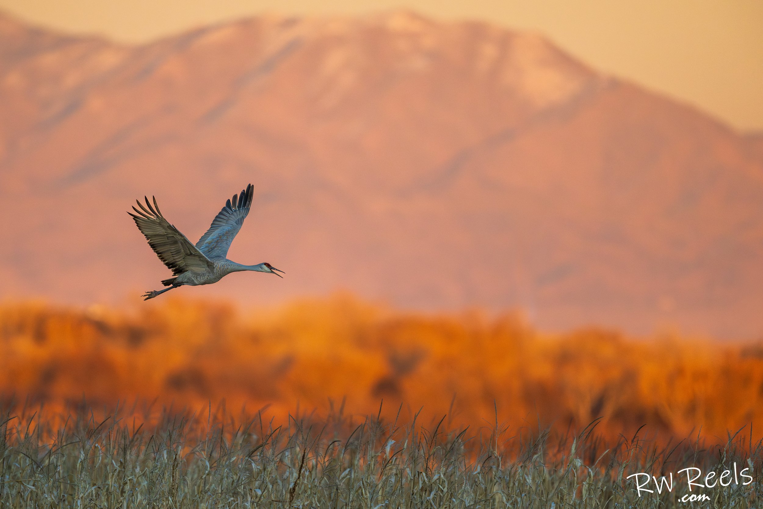 NM Day 1_5954-Edit-2.jpg