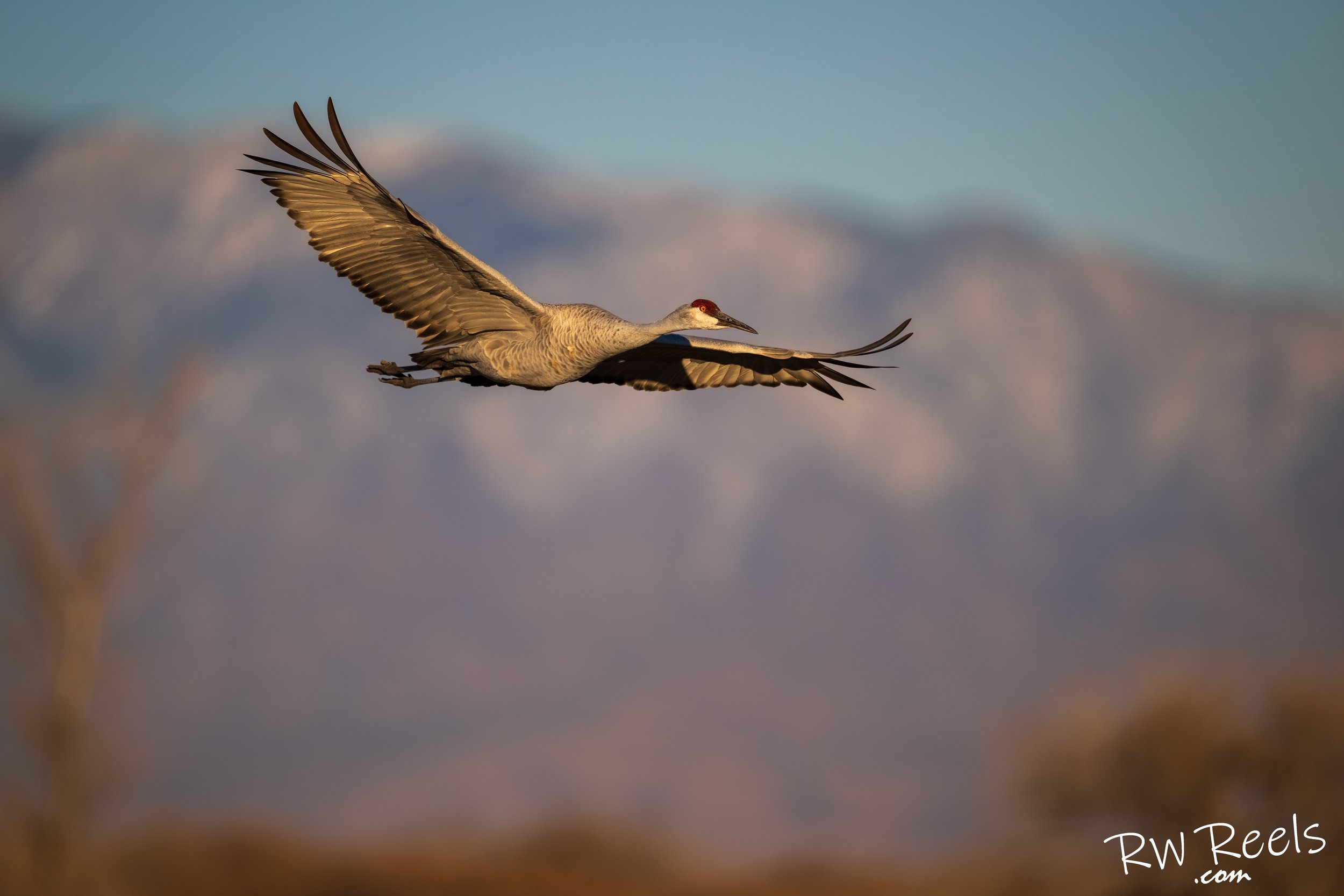 NM Day 1_2302-Edit.jpg
