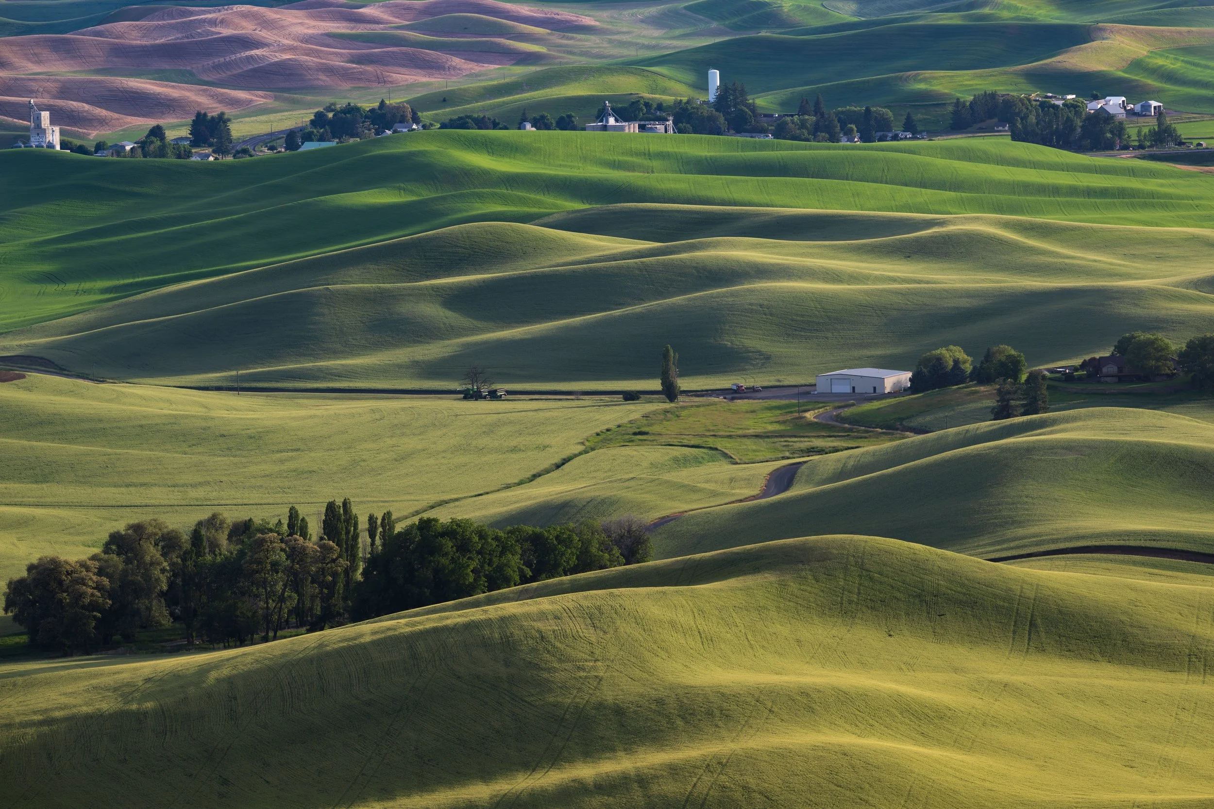 Steptoe Butte, Washington