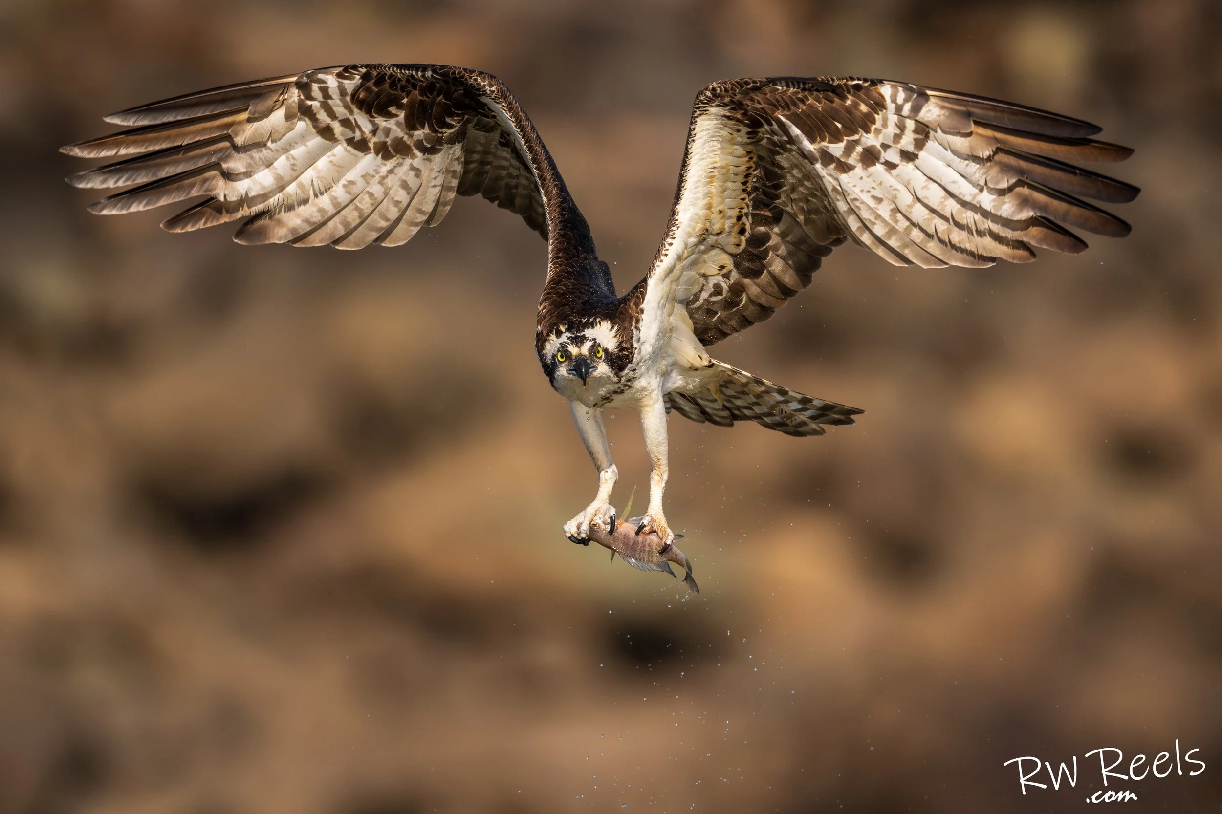 jordanlak3.20.26_353586-Edit.jpg