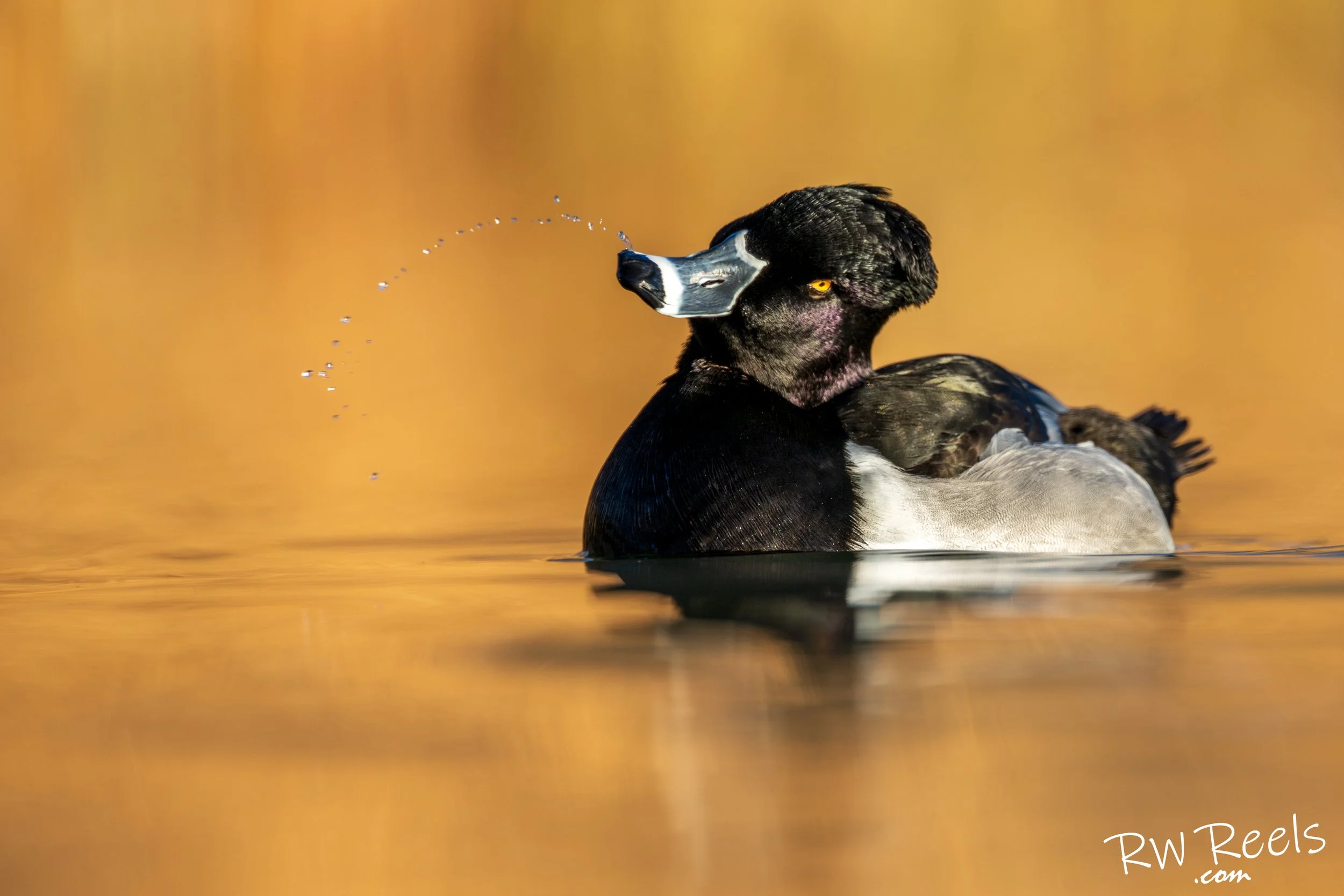 NM Day 2morning_15357-Edit.jpg