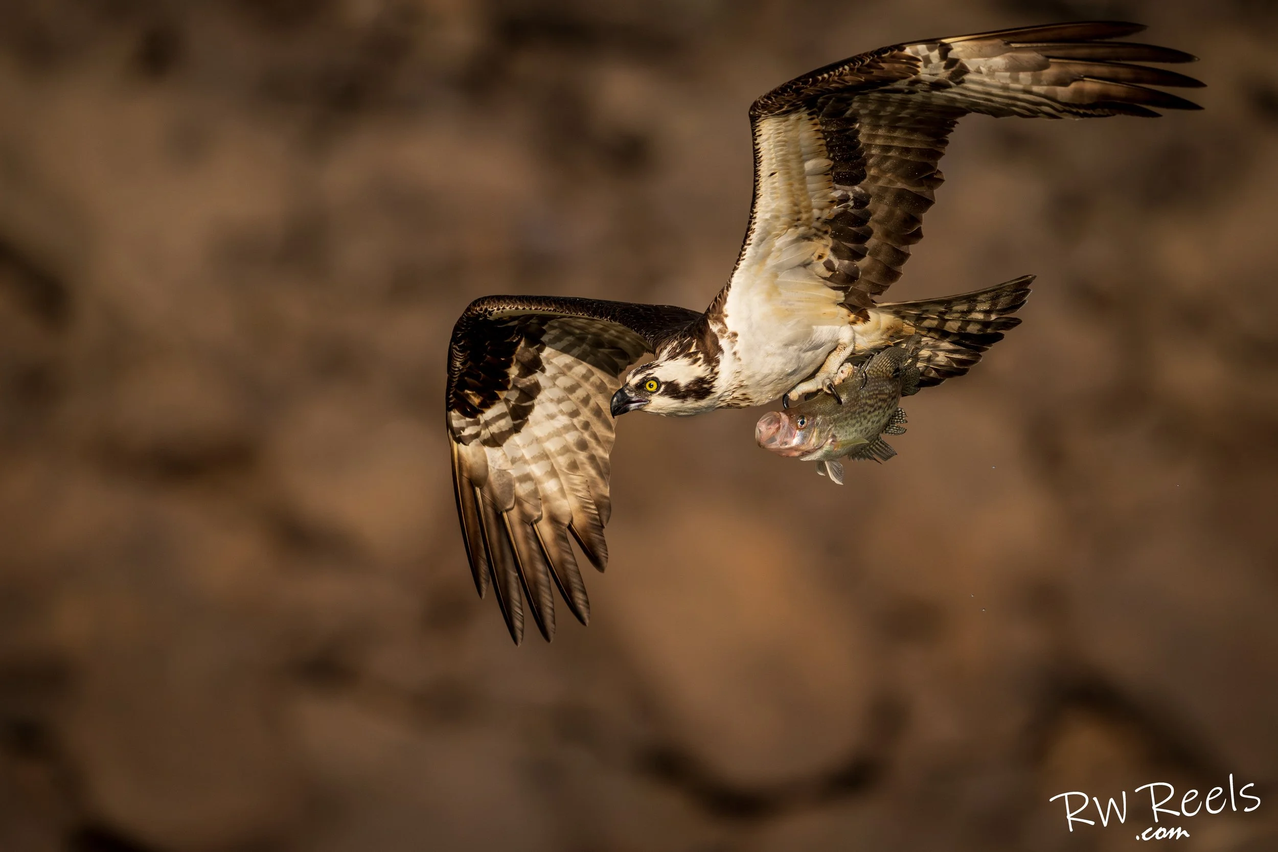 jordanlak3.6.26_334707-Edit.jpg