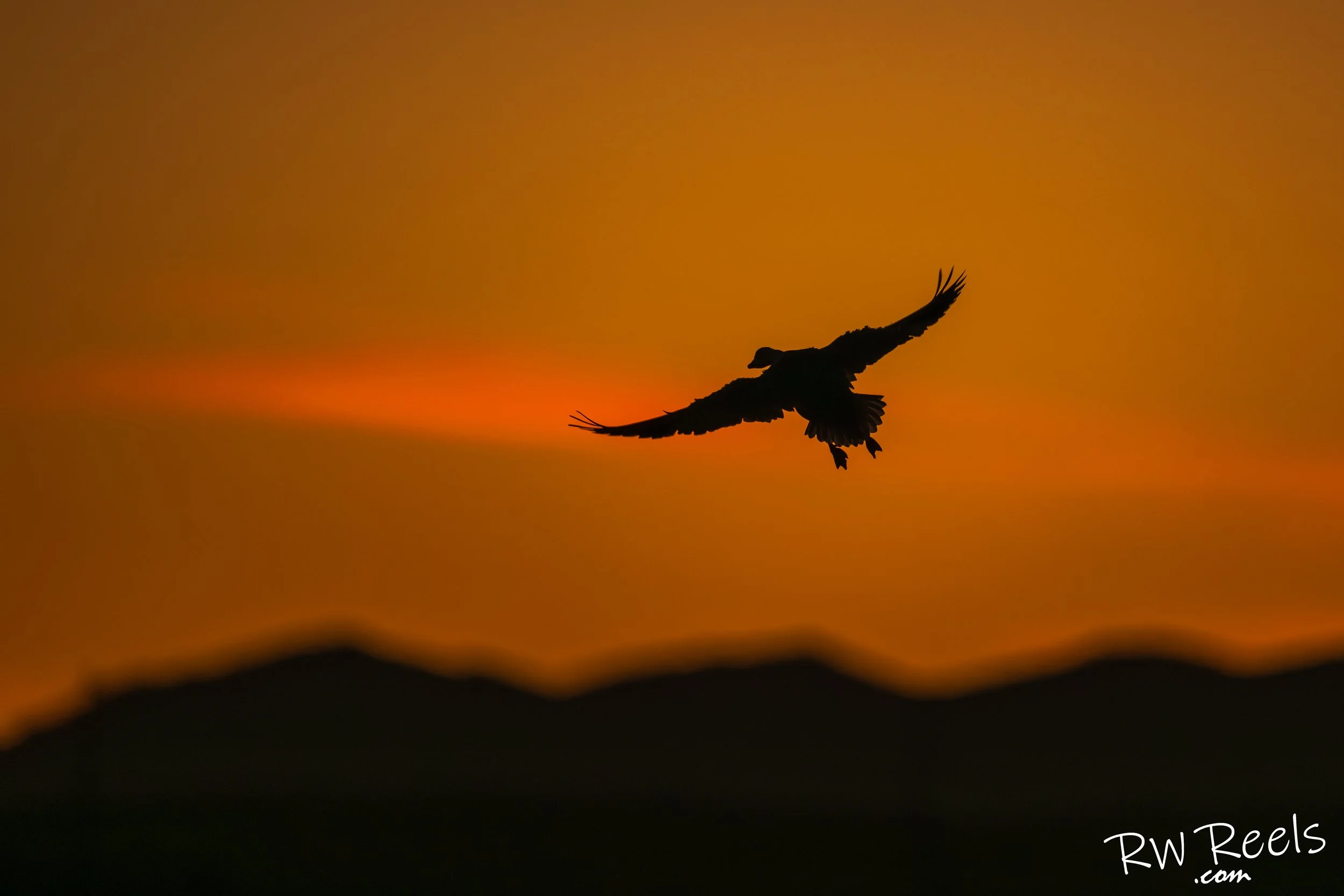 NM Day 2evening_30909-Edit.jpg