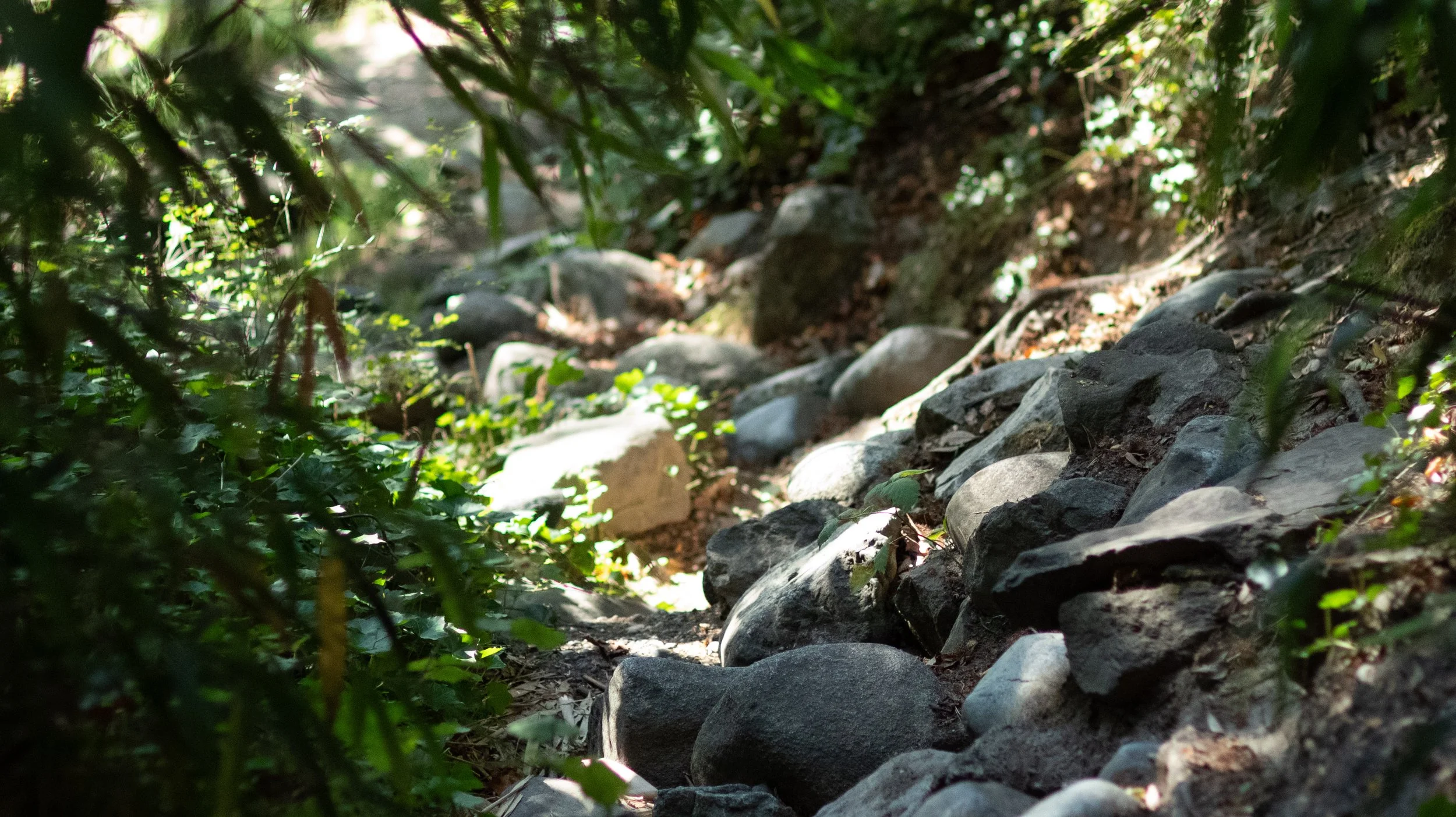 The Gift and the Unwrapping: Why Psychedelic Integration is the Heart of the Medicine Journey