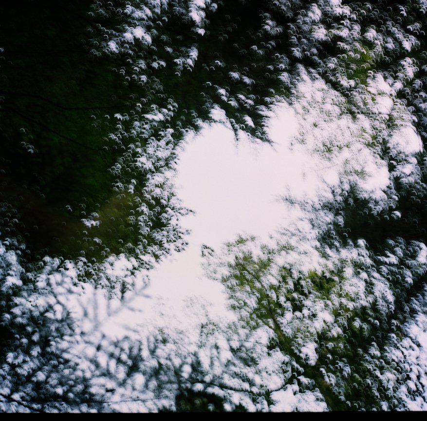 Chasing the Shadow: On Staying With What You'd Rather Not See