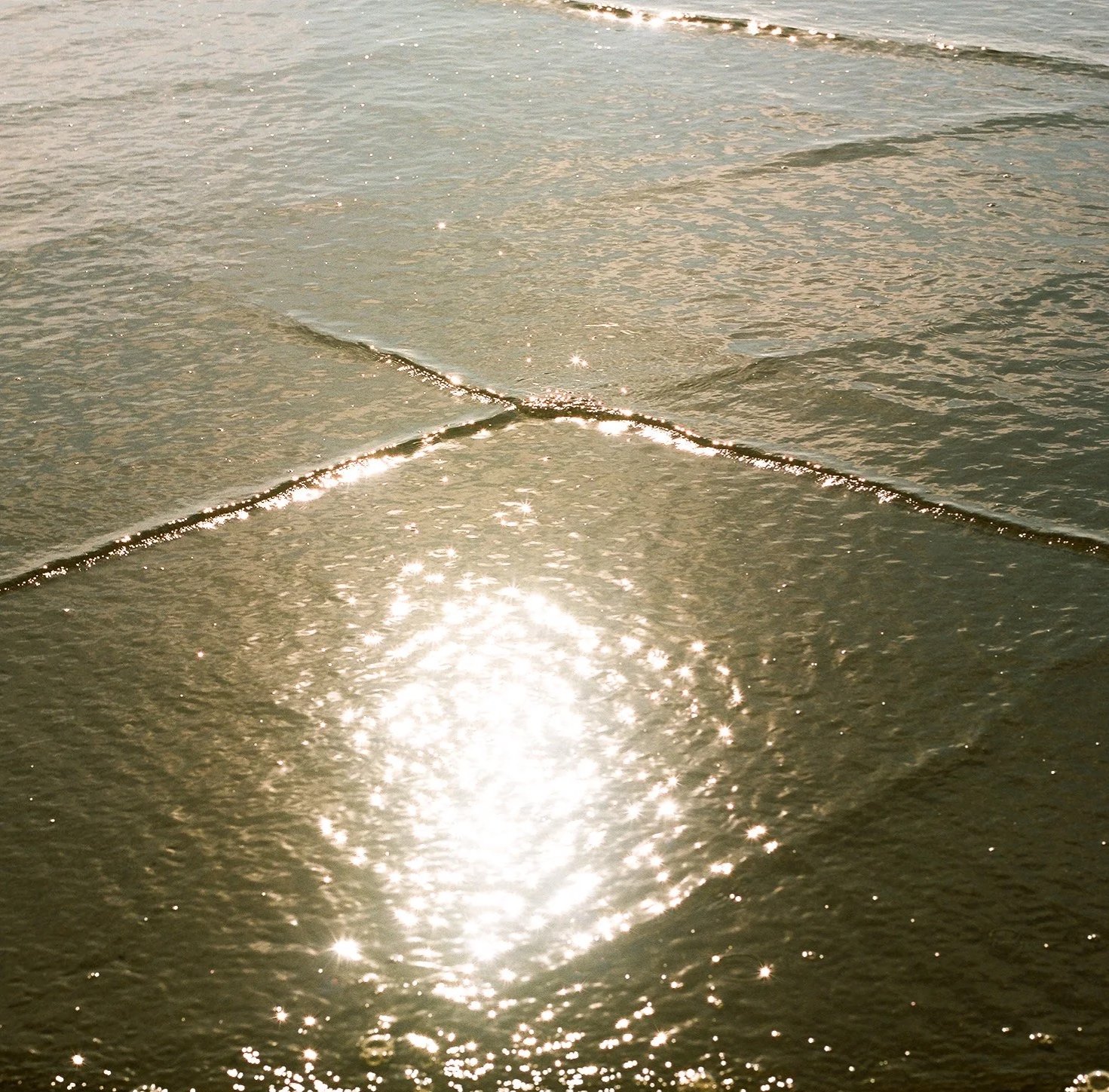 Chasing the Shadow: On Staying With What You'd Rather Not See
